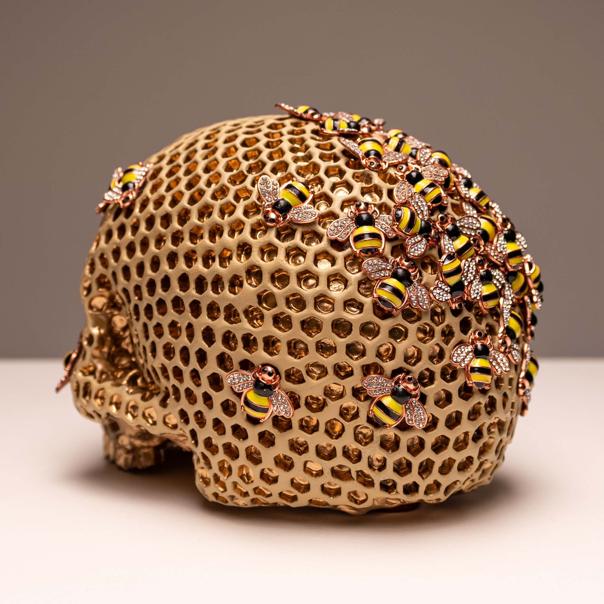 Beehive Skull