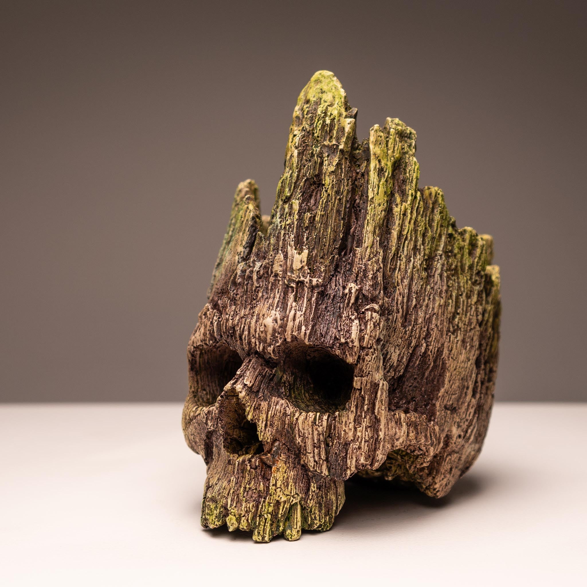 Dead Wood