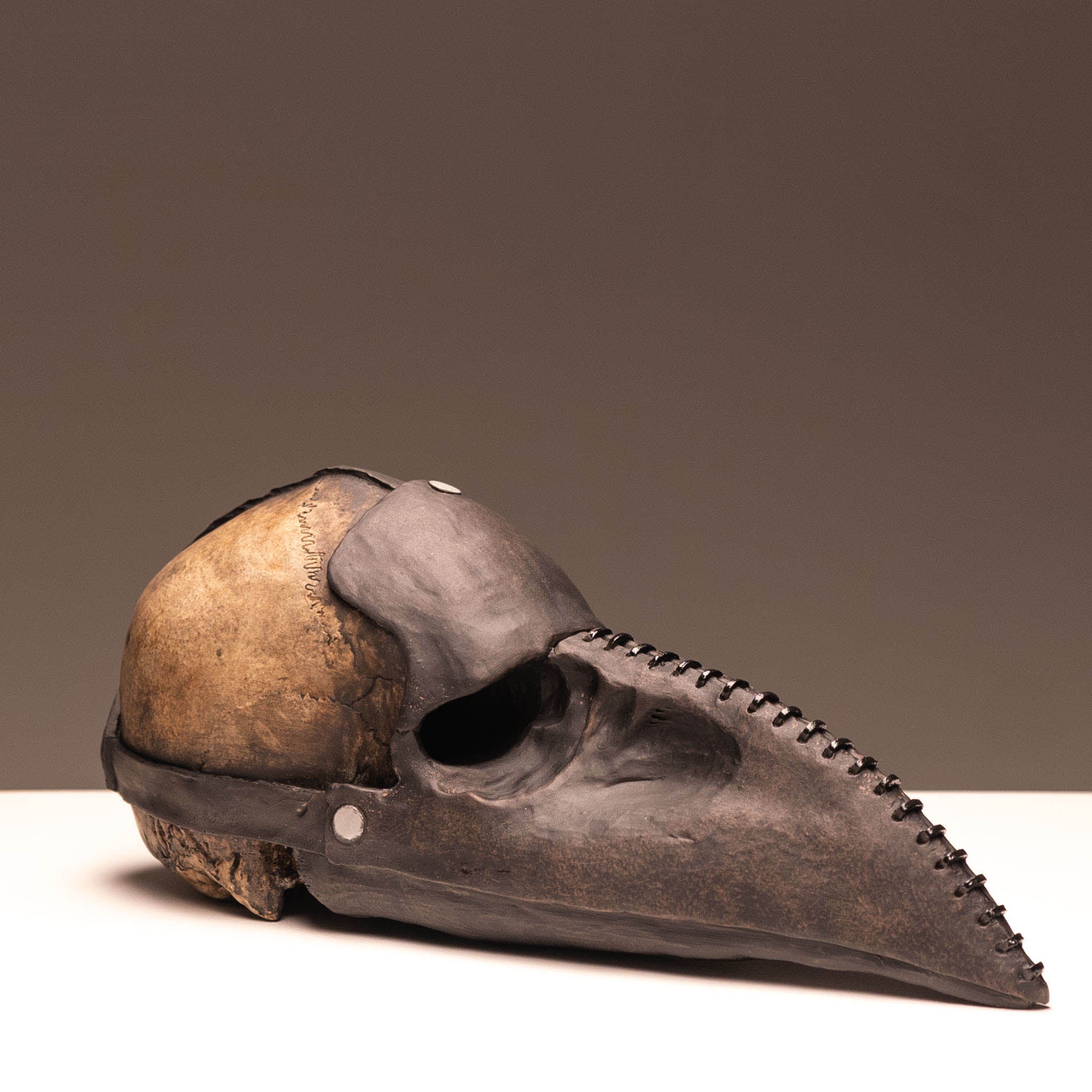 Plague Doctor Skull - Bubonic