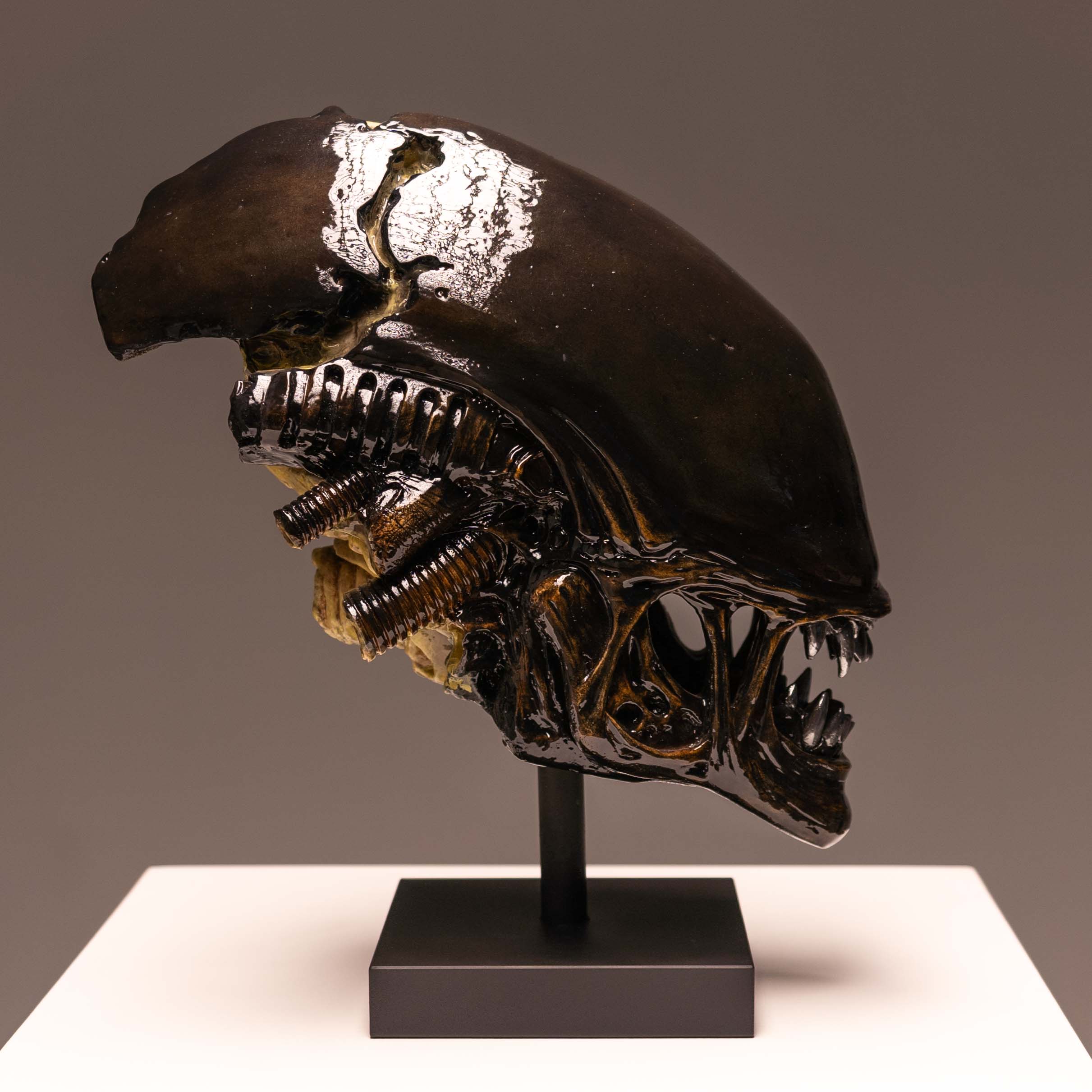 Xeno Trophy – Jack of the Dust, image size:2422x2422