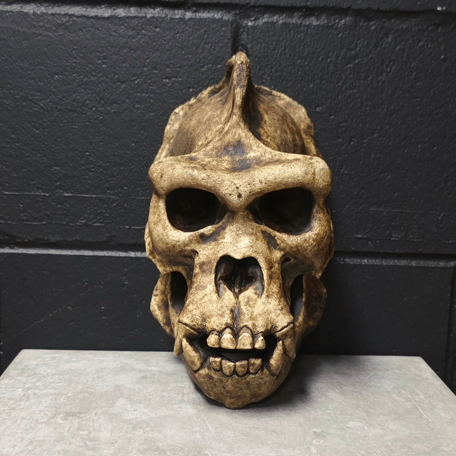 Silverback - Bone [DISCONTINUED]