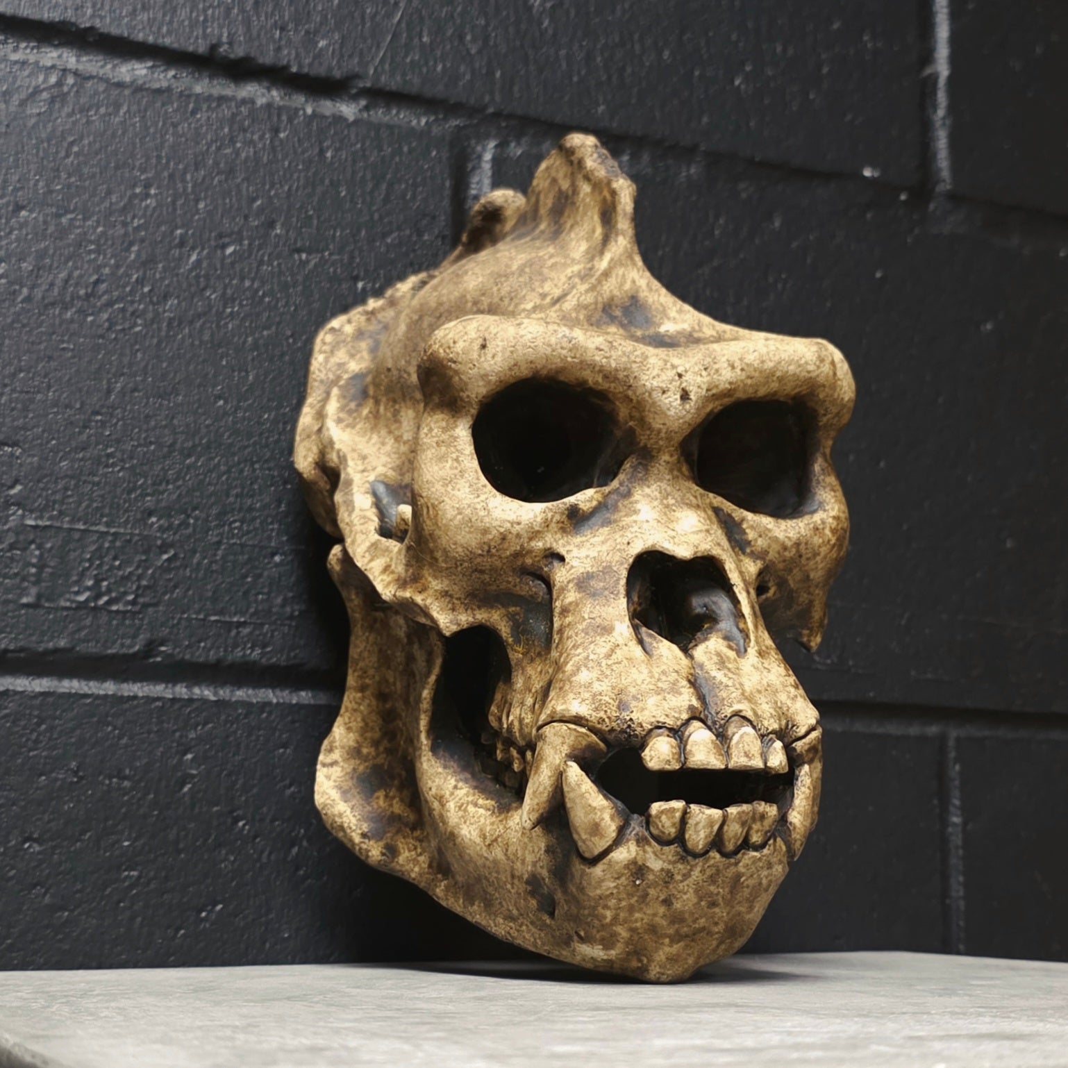 Silverback - Bone [DISCONTINUED]