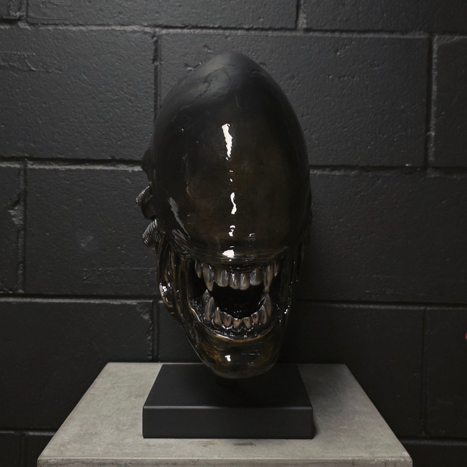 Xeno Trophy [SCRATCH & DENT] (1)