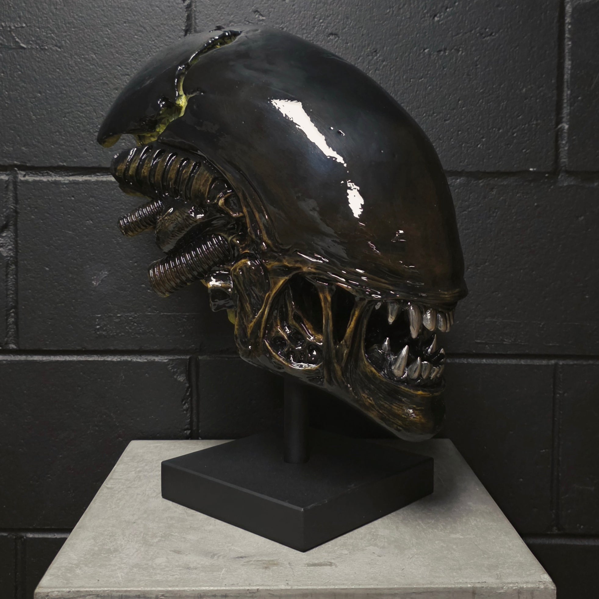 Xeno Trophy [SCRATCH & DENT] (1)