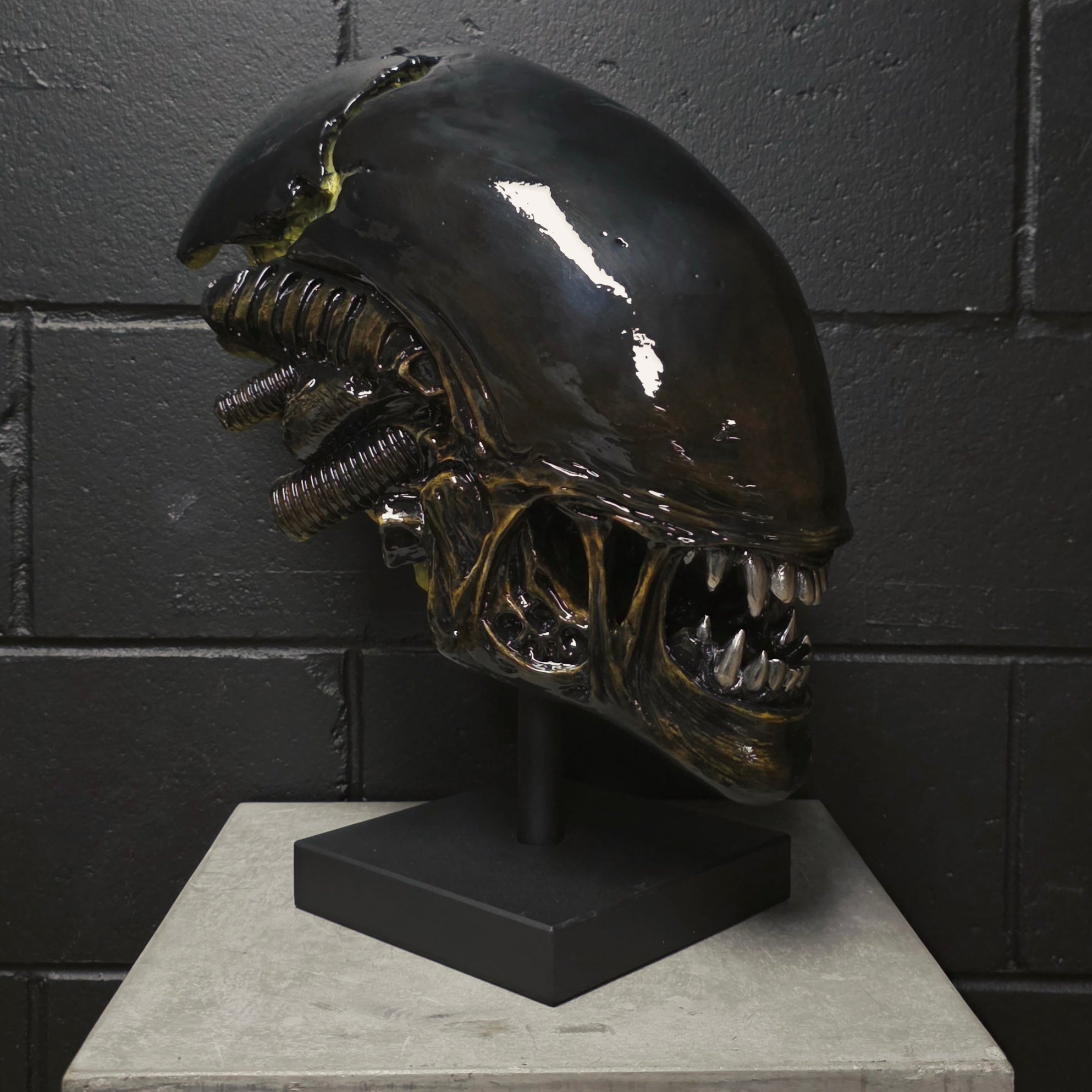 Xeno Trophy [SCRATCH & DENT] (1)