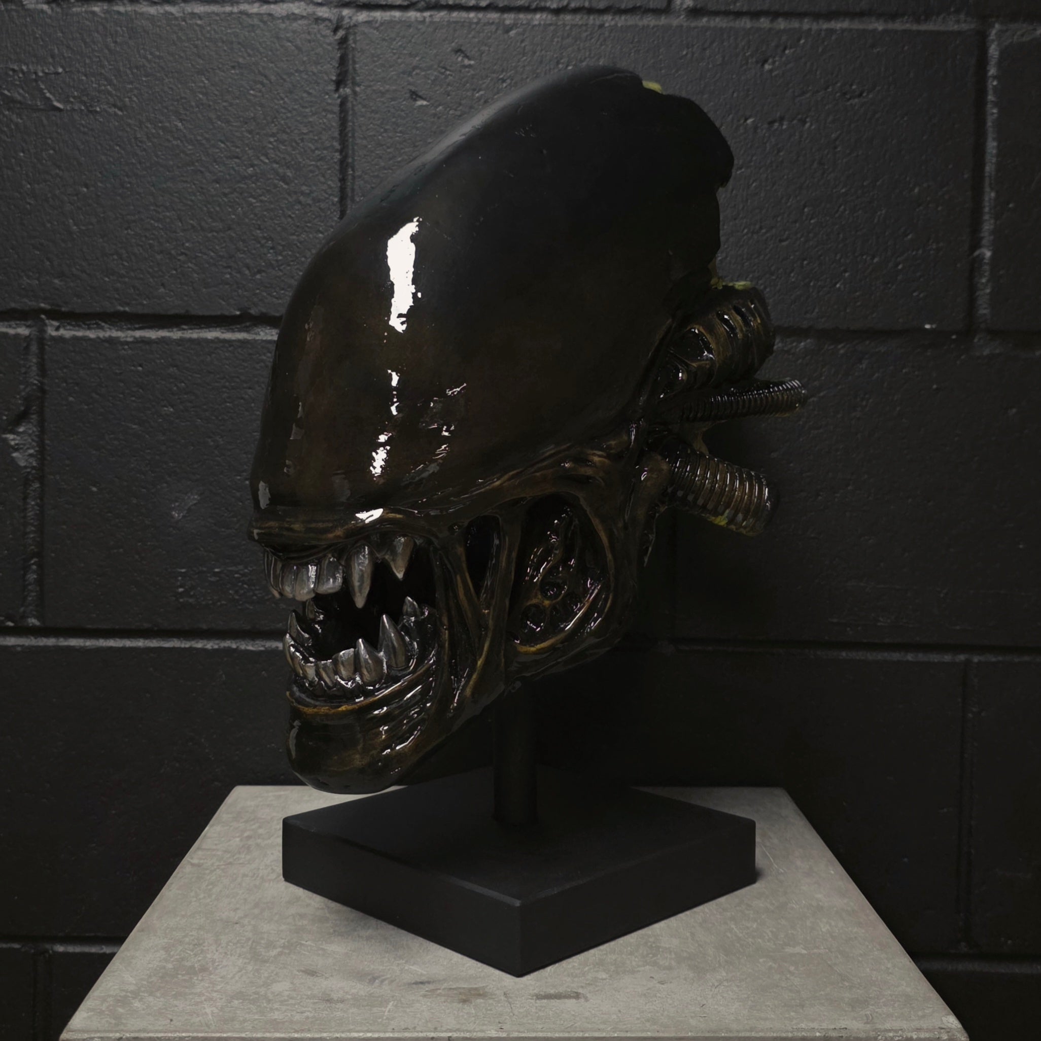 Xeno Trophy [SCRATCH & DENT] (1)