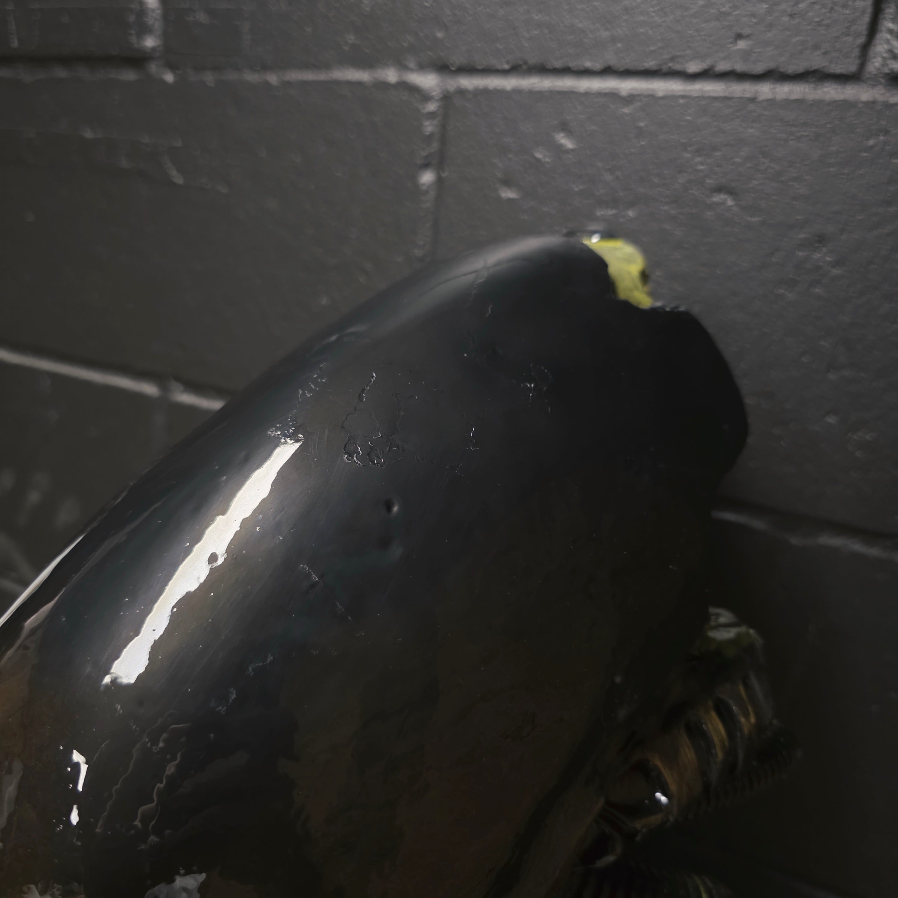 Xeno Trophy [SCRATCH & DENT] (1)