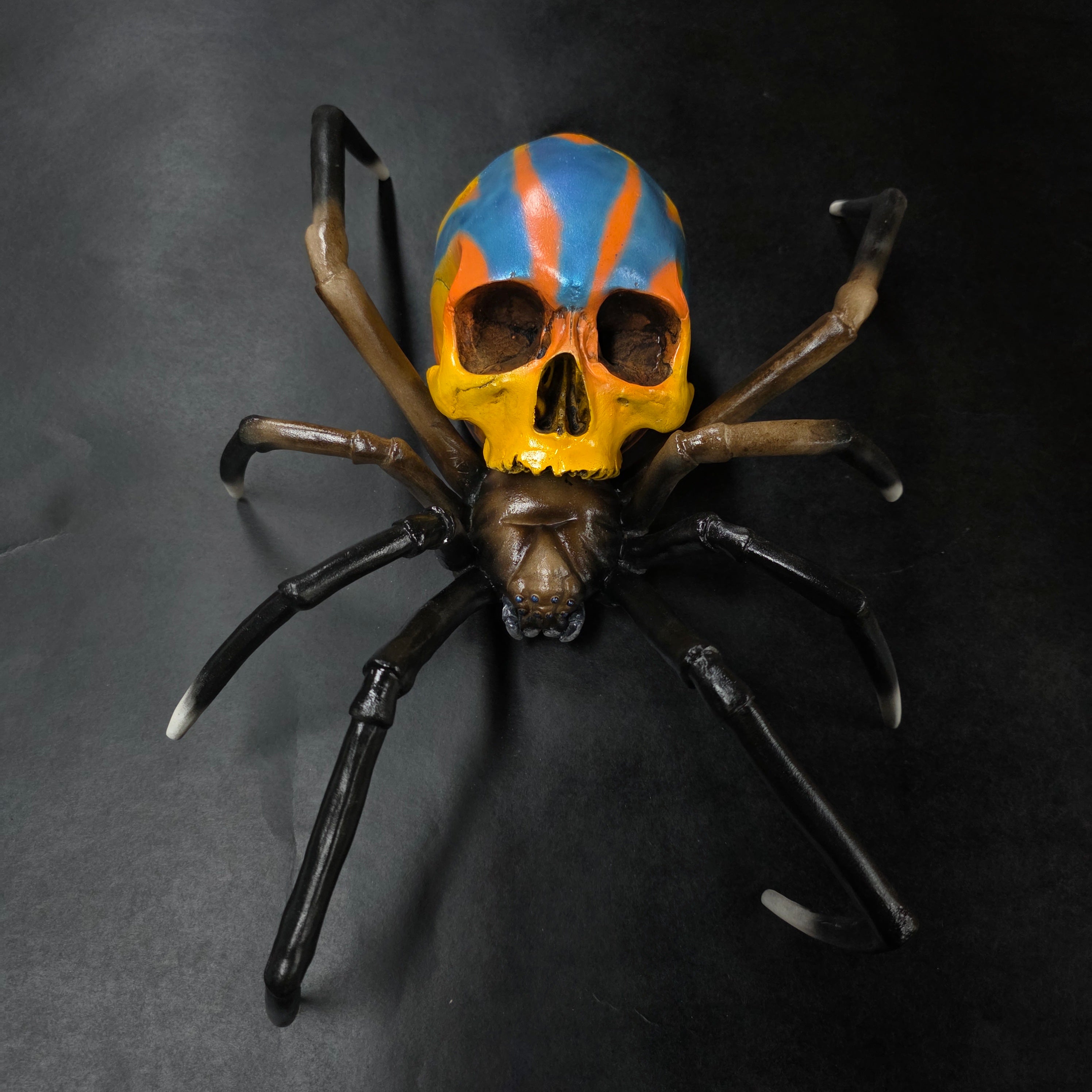 Spider Skull - Peacock Spider [EXPERIMENTAL PAINT]