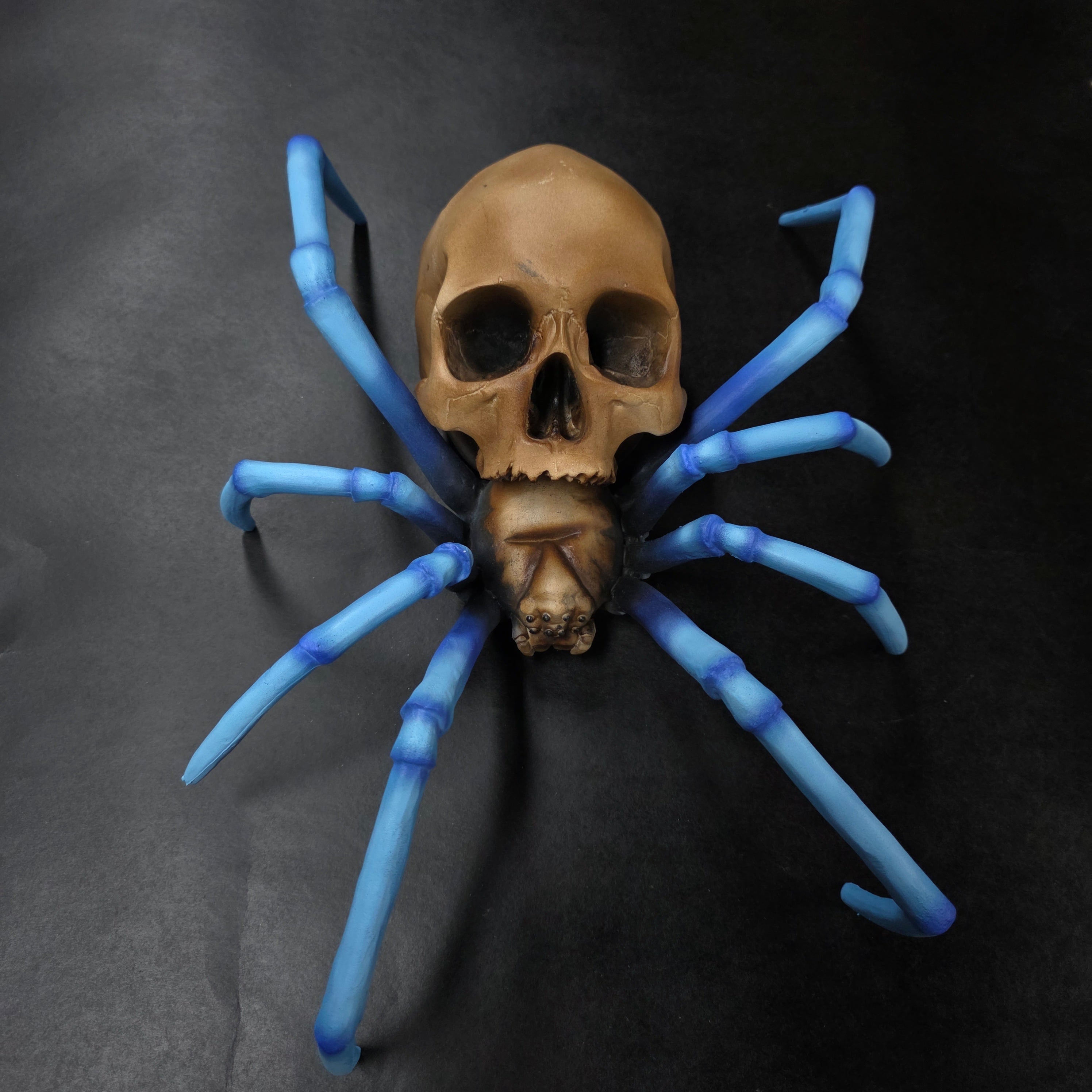 Spider Skull - Blue-Legged Tarantula [EXPERIMENTAL PAINT]