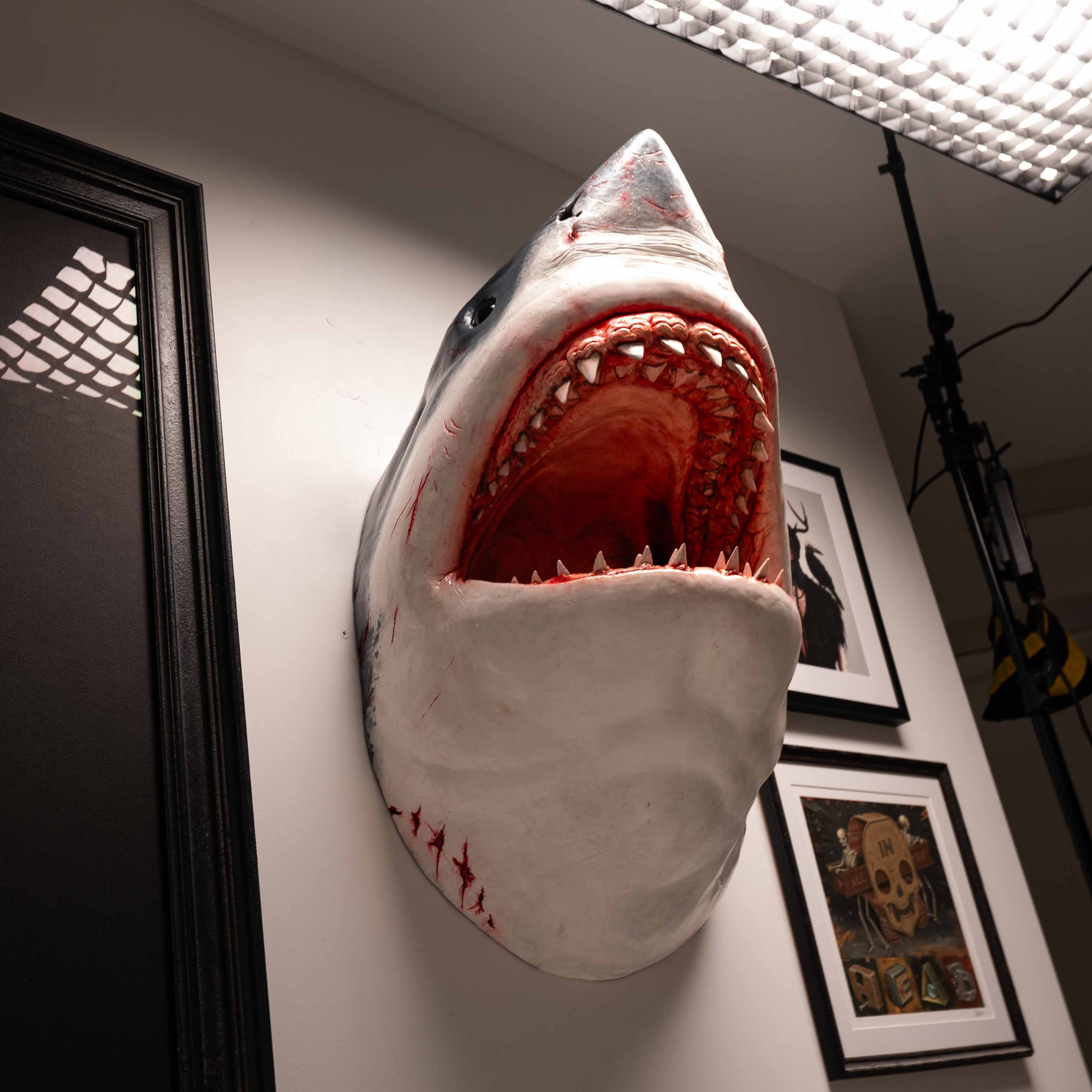 Bruce - The Great White Shark