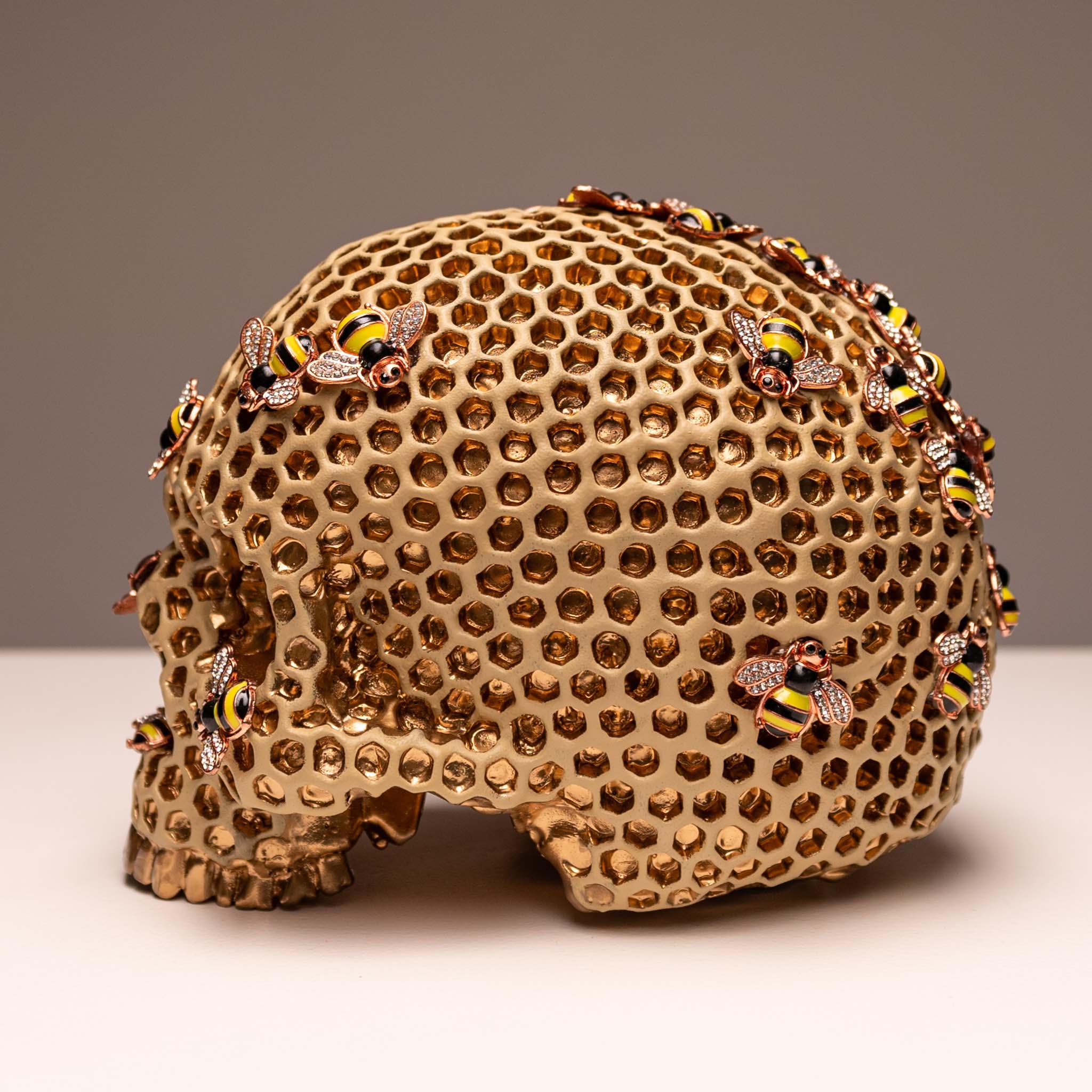 Beehive Skull