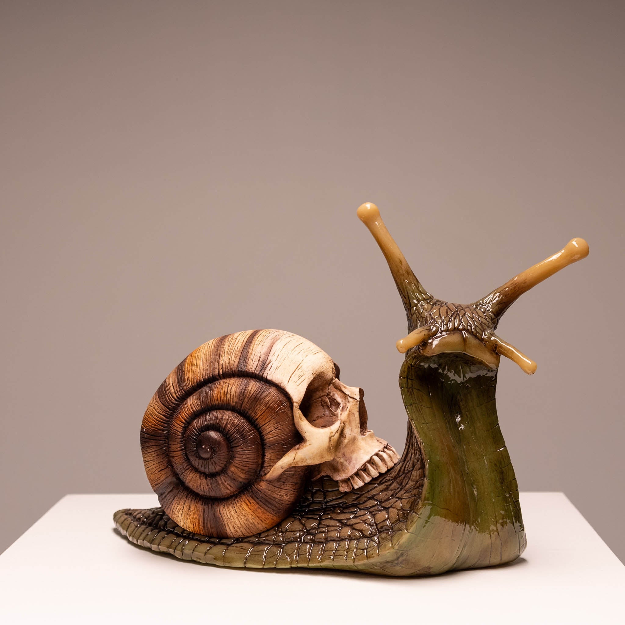 Snail Skull – Jack of the Dust