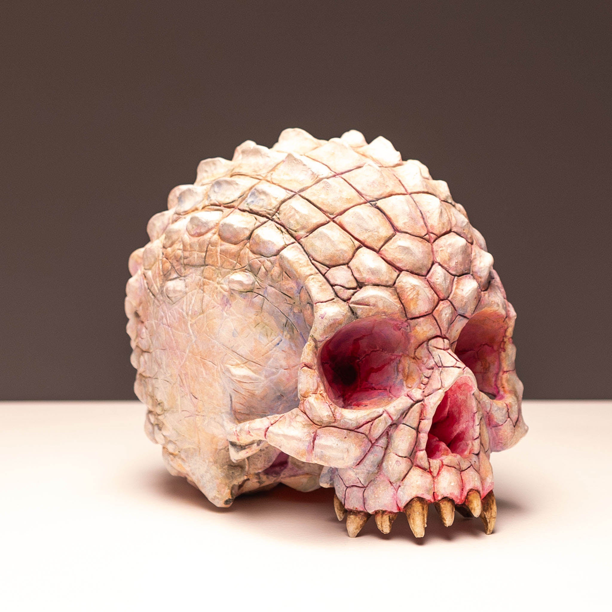 Albino Croc Skull [DISCONTINUED] – Jack of the Dust
