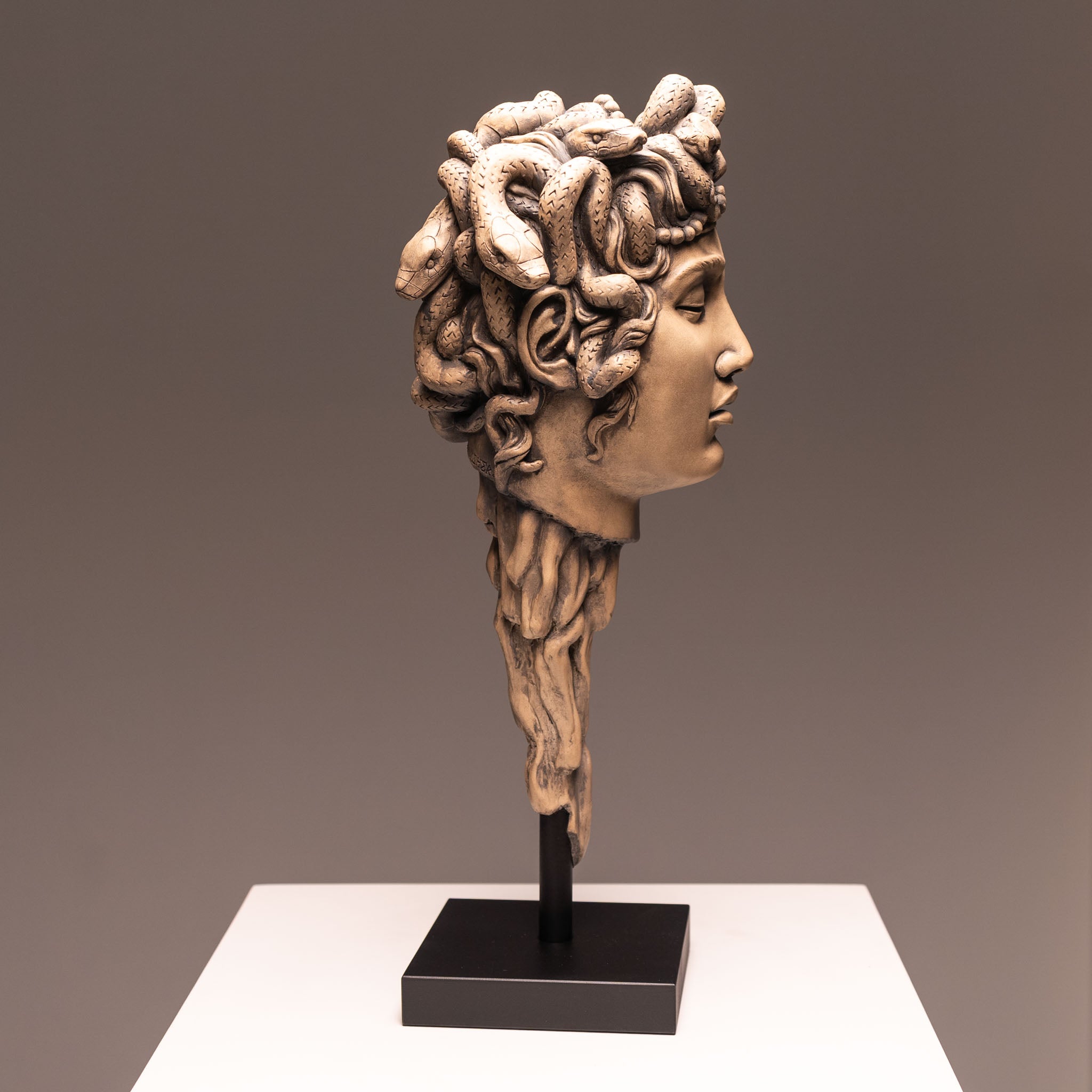 Medusa - Sandstone – Jack of the Dust