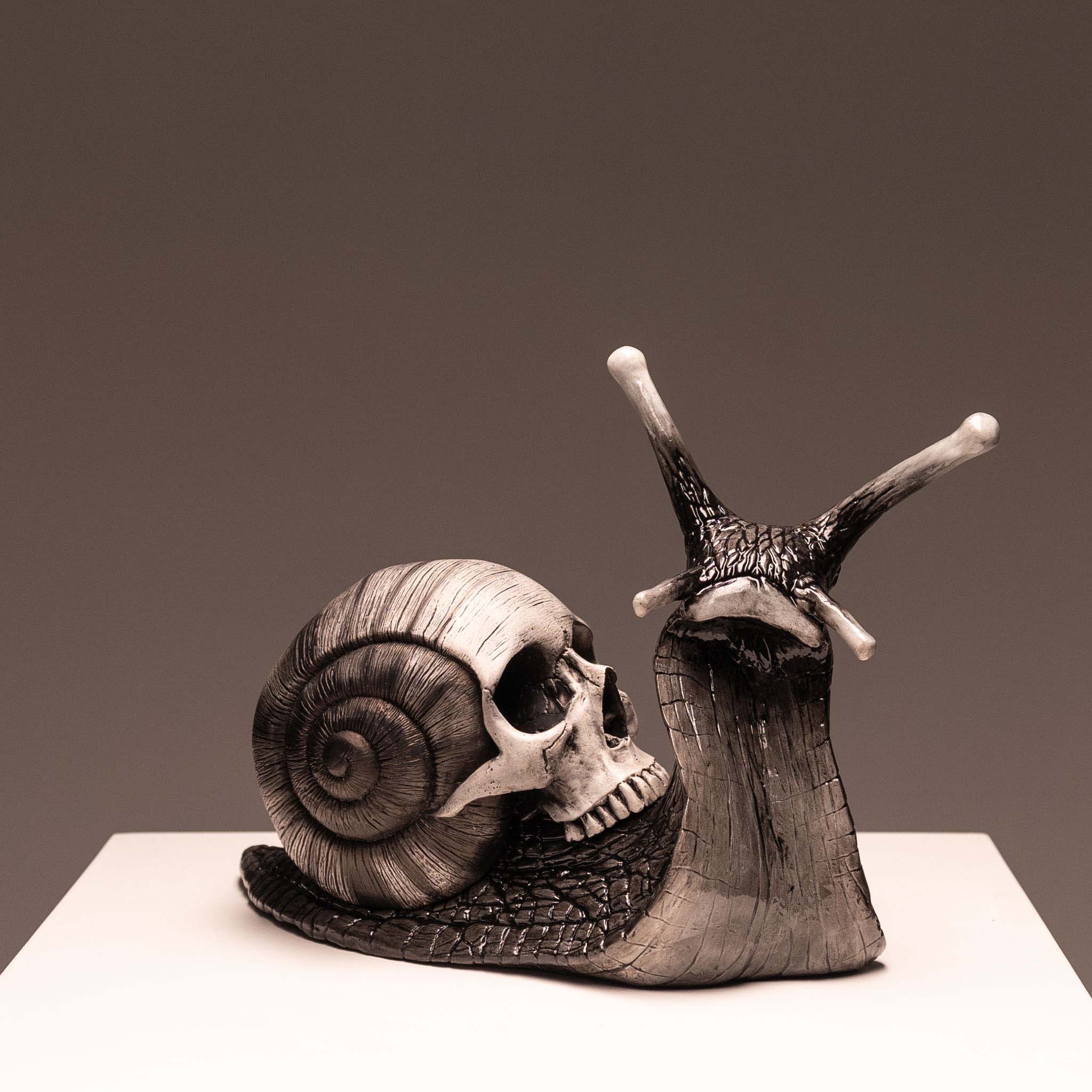 Snail Skull - Shadow
