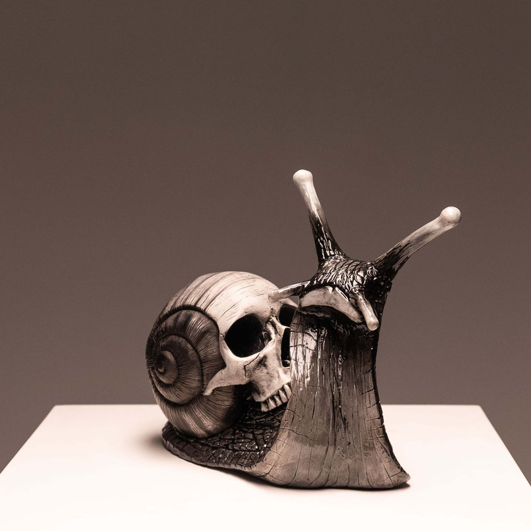 Snail Skull - Shadow – Jack of the Dust