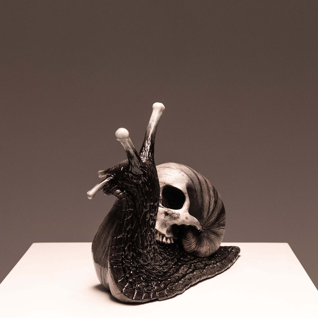 Snail Skull - Shadow – Jack of the Dust