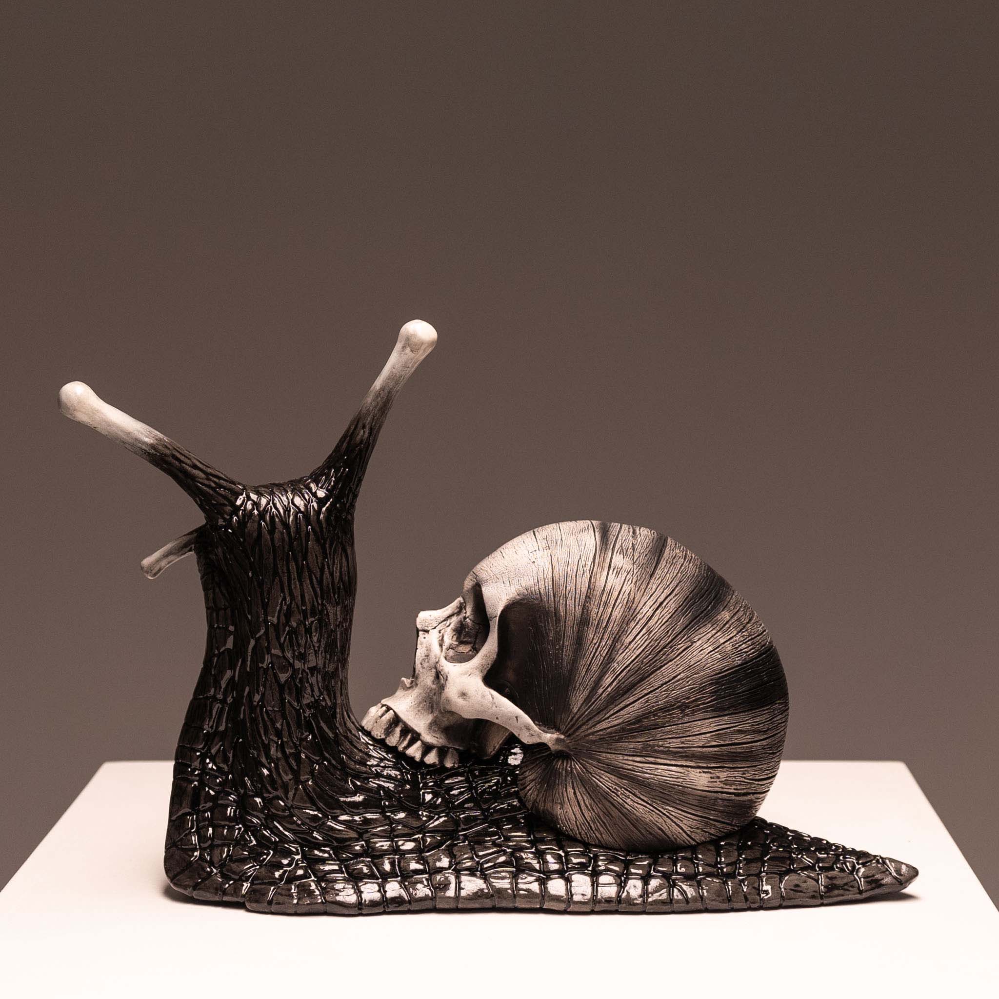 Snail Skull - Shadow – Jack of the Dust