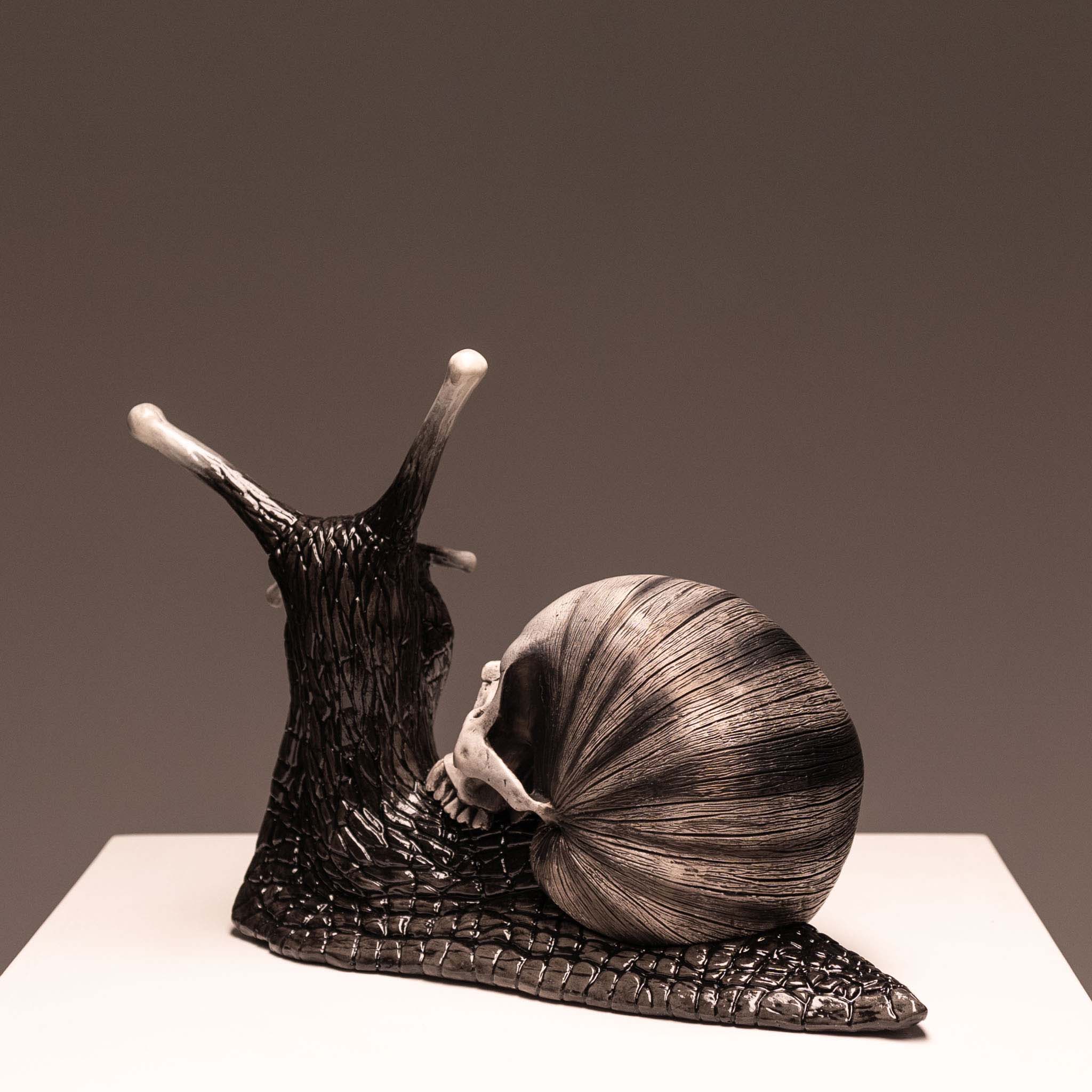 Snail Skull - Shadow – Jack of the Dust