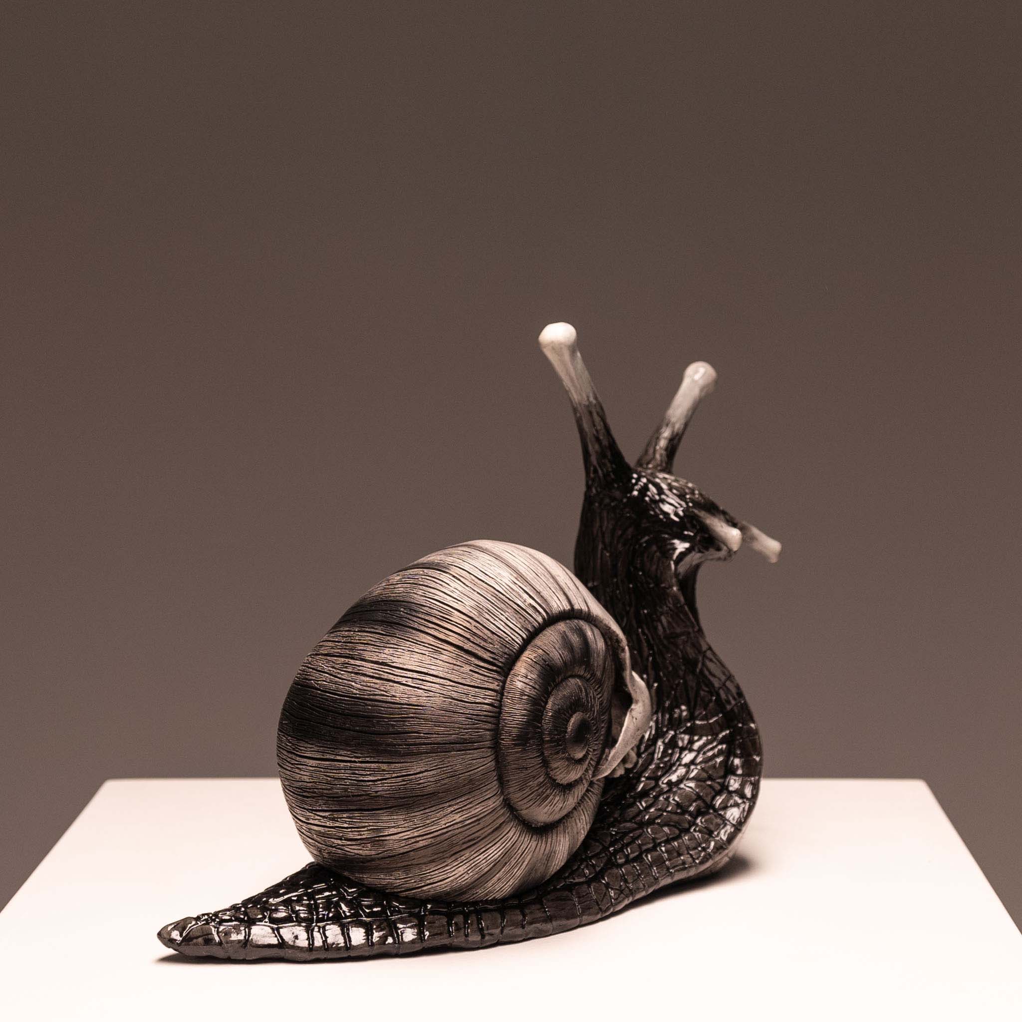 Snail Skull - Shadow – Jack of the Dust