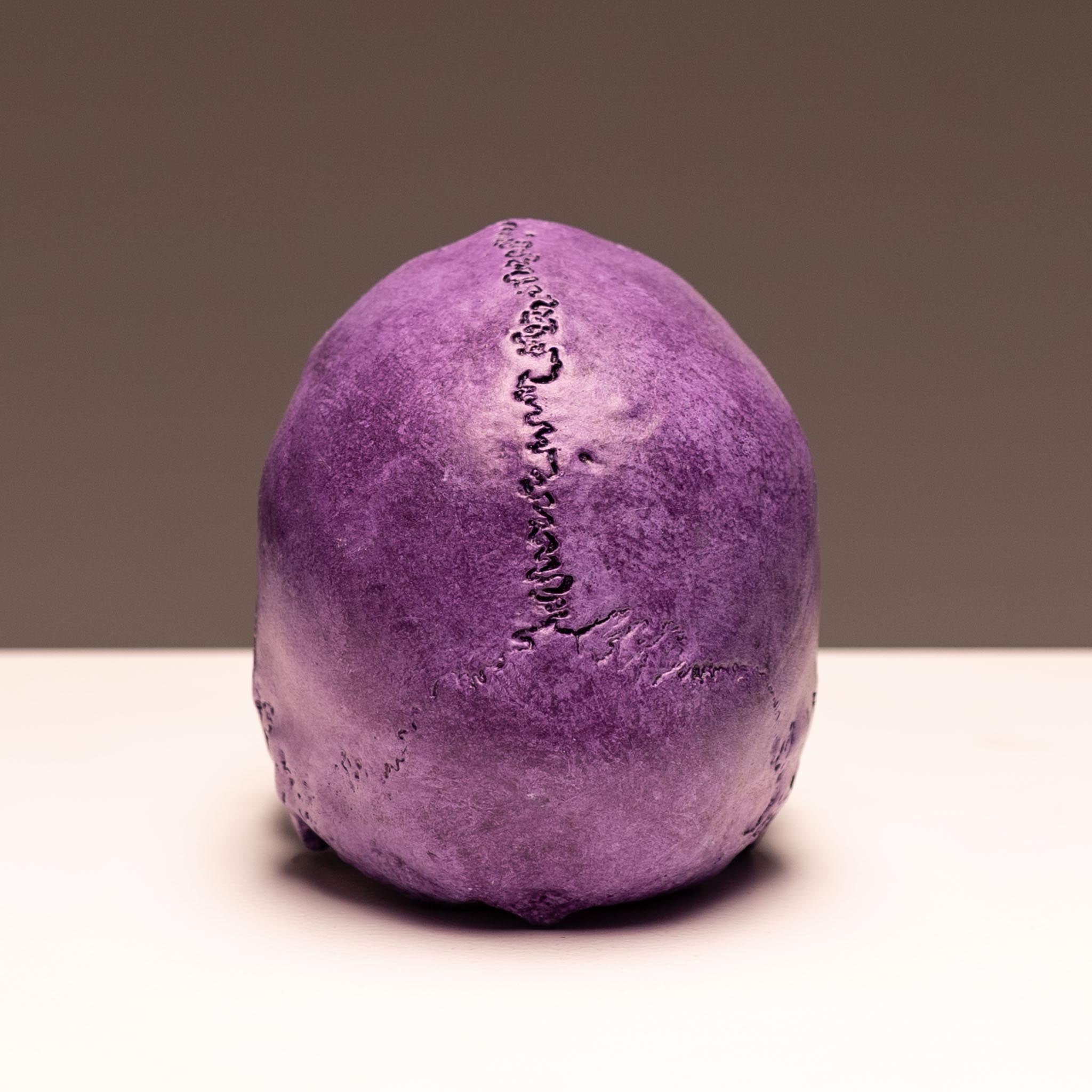 Day of the Dead Skull - Morado – Jack of the Dust