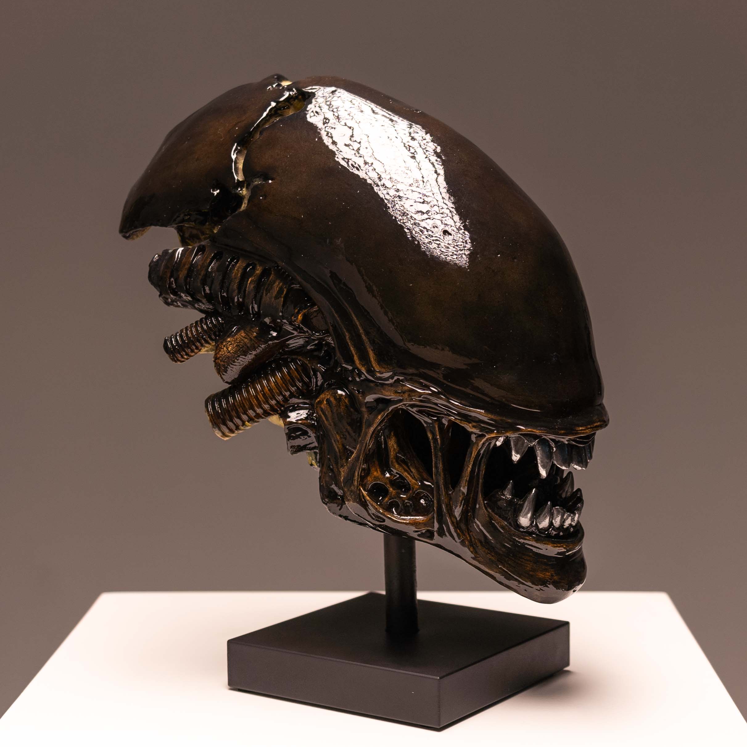 Xeno Trophy