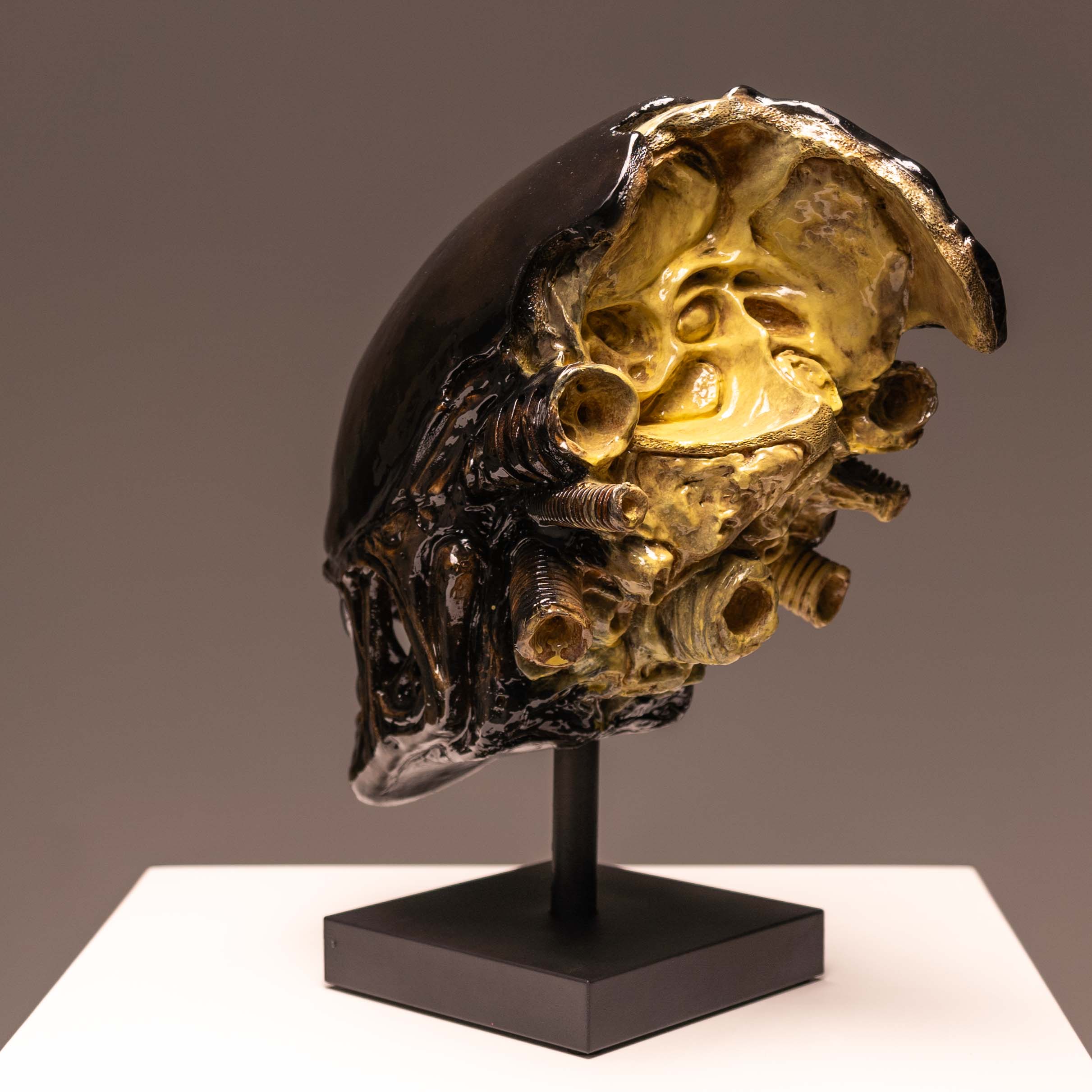 Xeno Trophy – Jack of the Dust