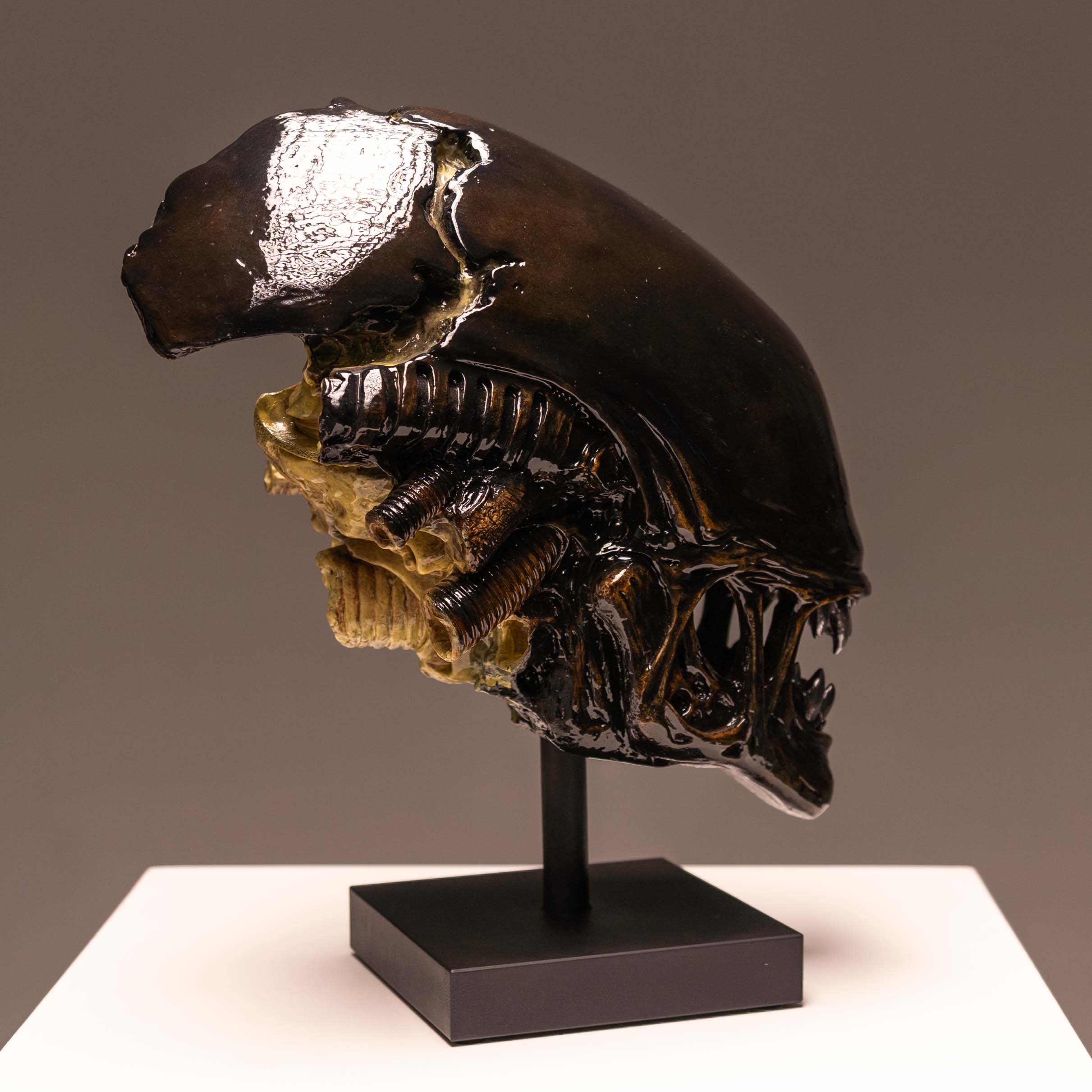 ひょうたんオブジェ Xeno Trophy – Jack of the Dust