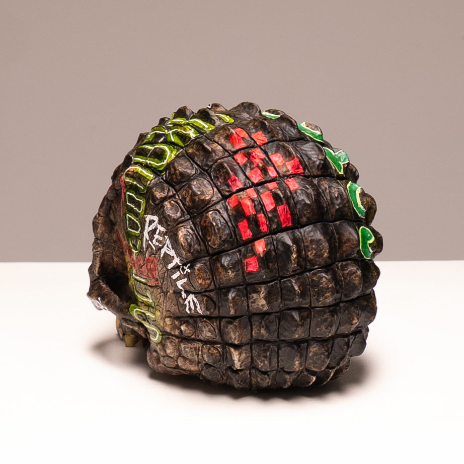 Croc Skull - Salty