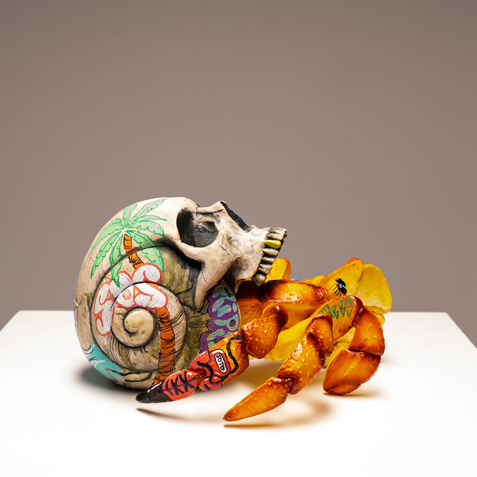 Hermit Crab Skull - Sandy
