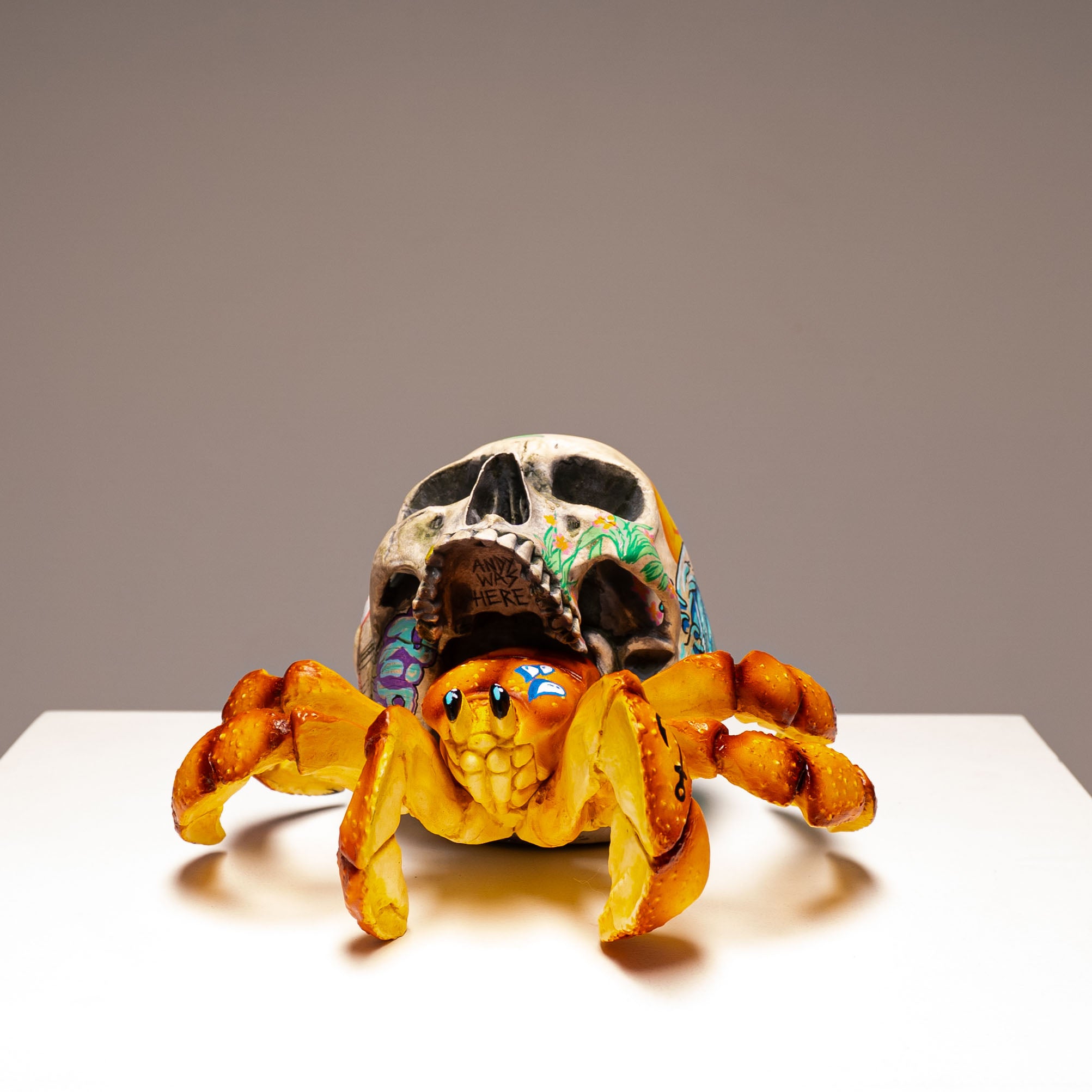 Hermit Crab Skull - Sandy