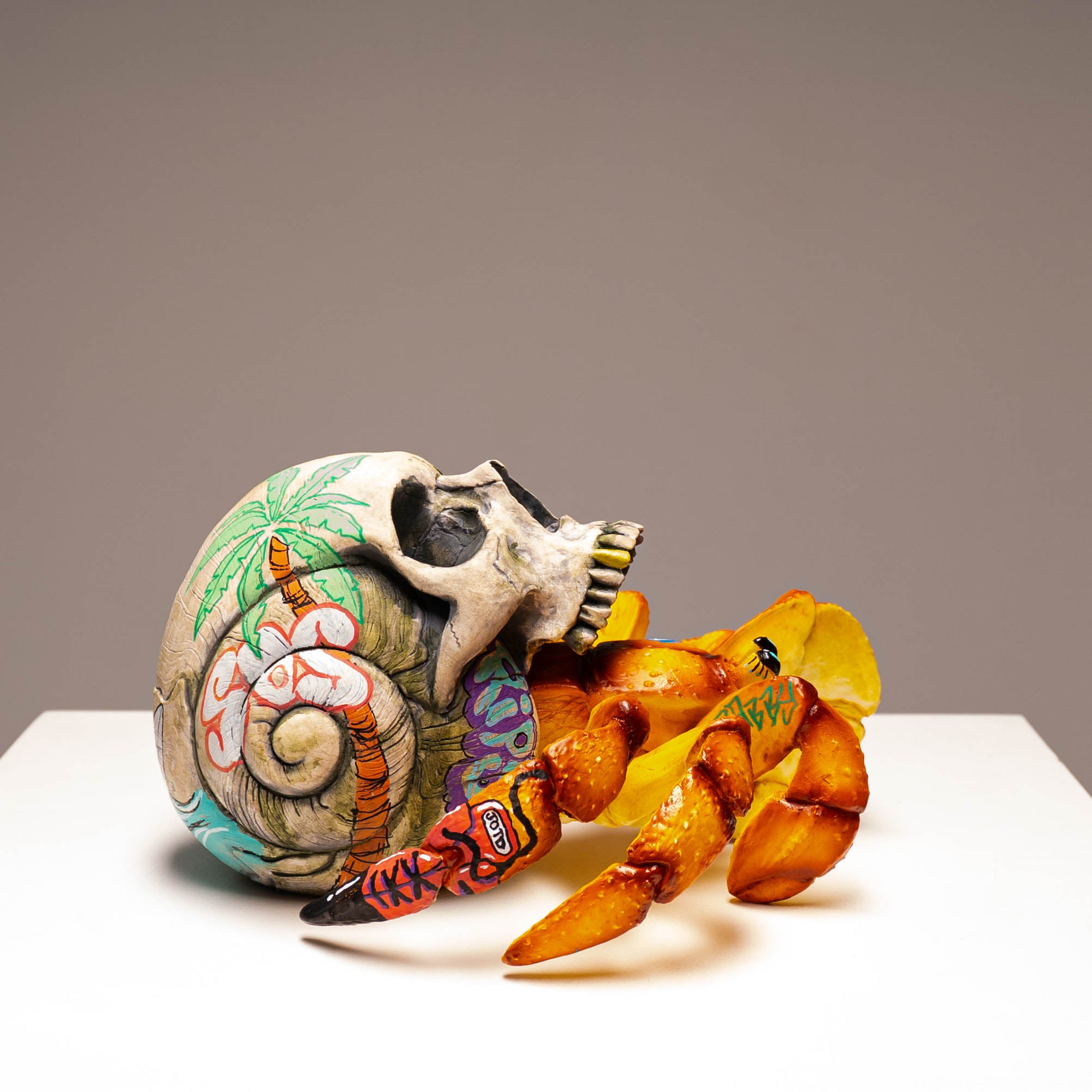 Hermit Crab Skull - Sandy