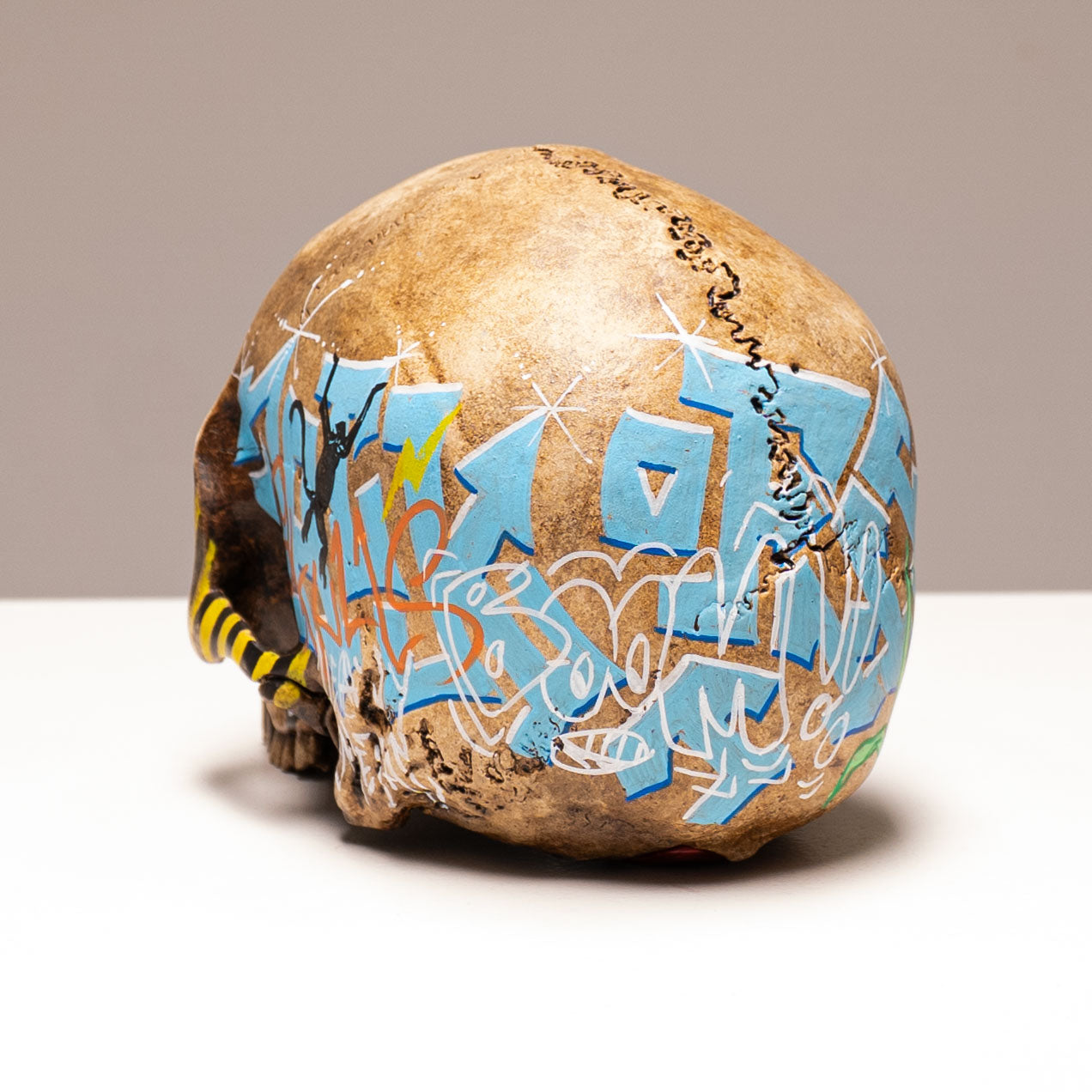 Human Skull - Subway