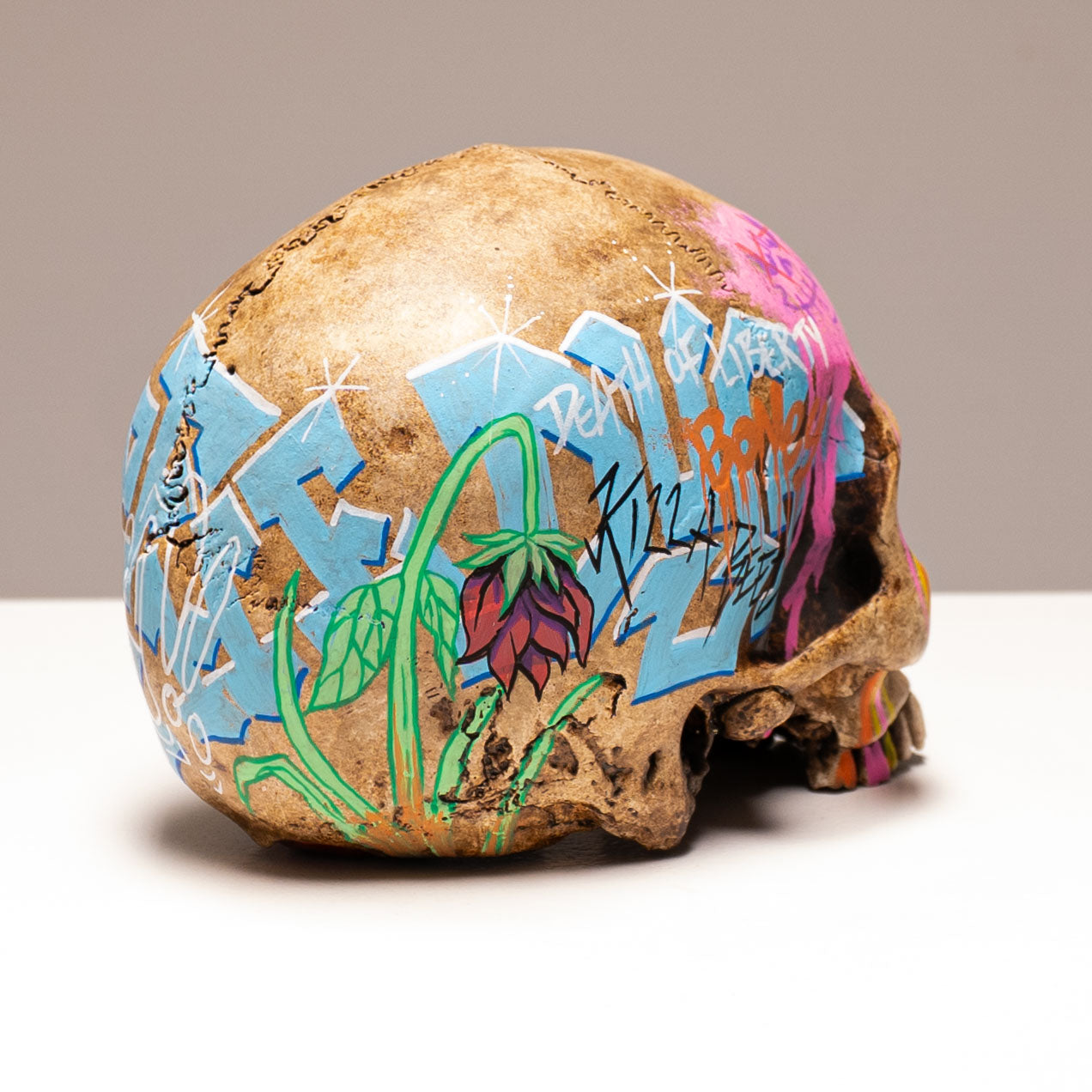 Human Skull - Subway