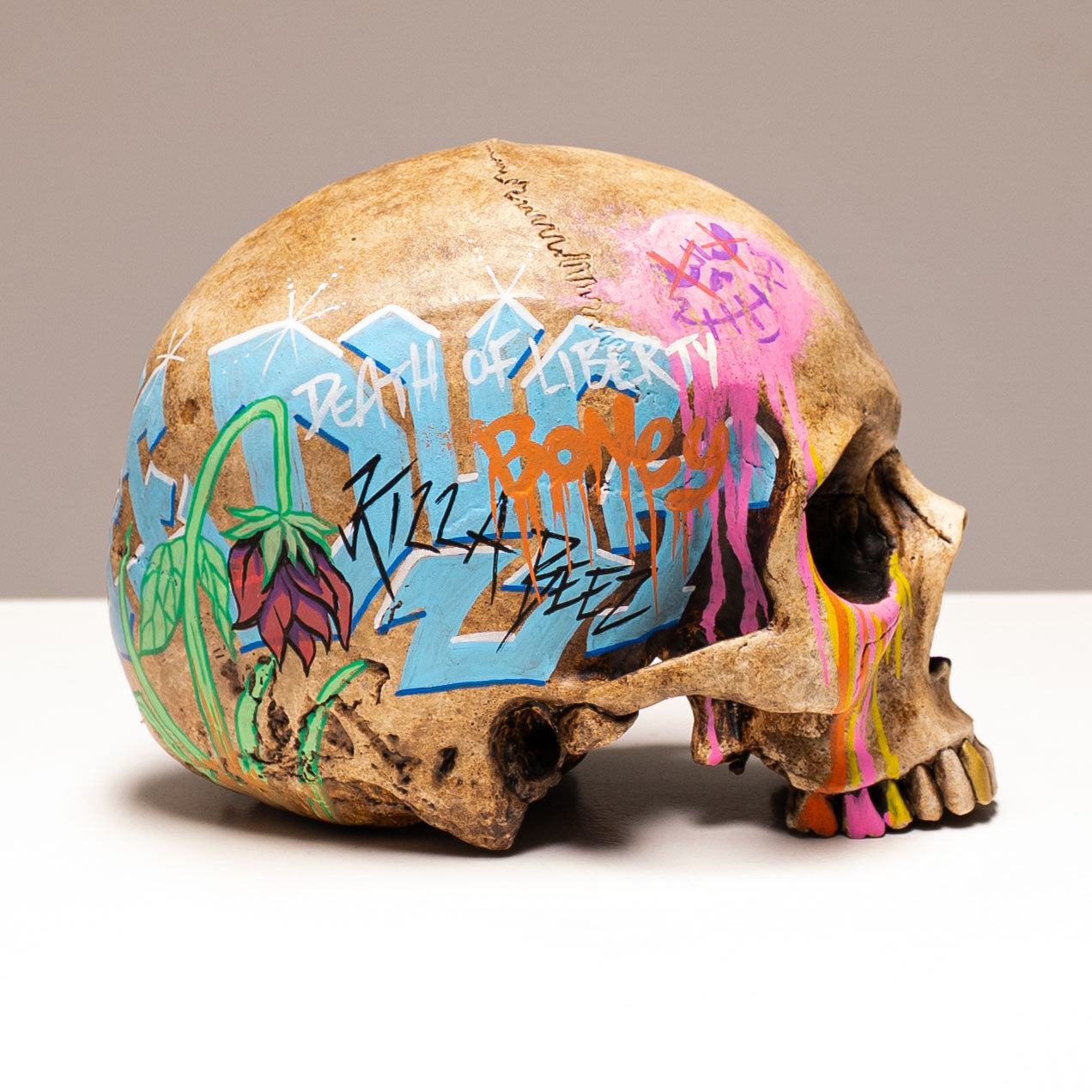 Human Skull - Subway