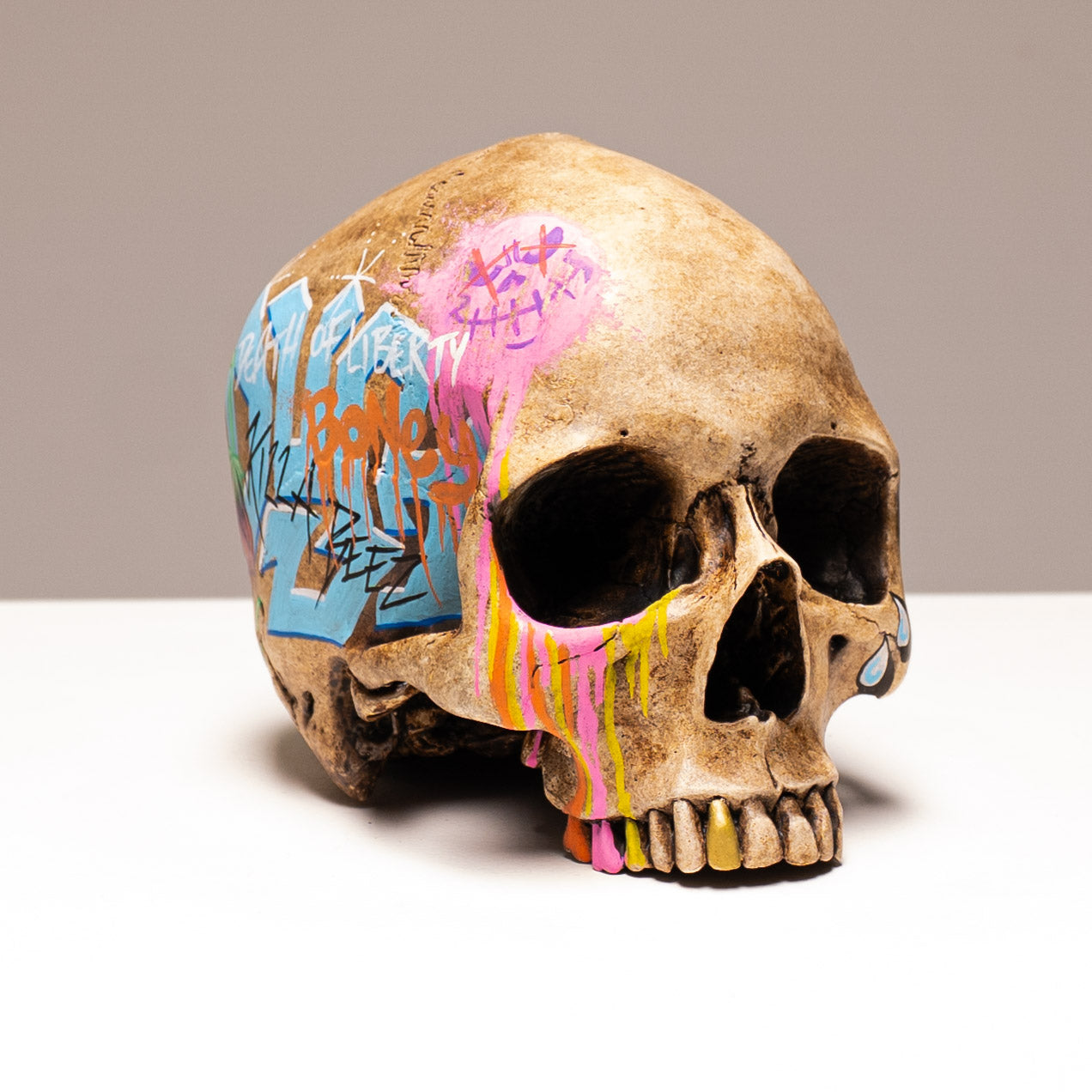 Human Skull - Subway