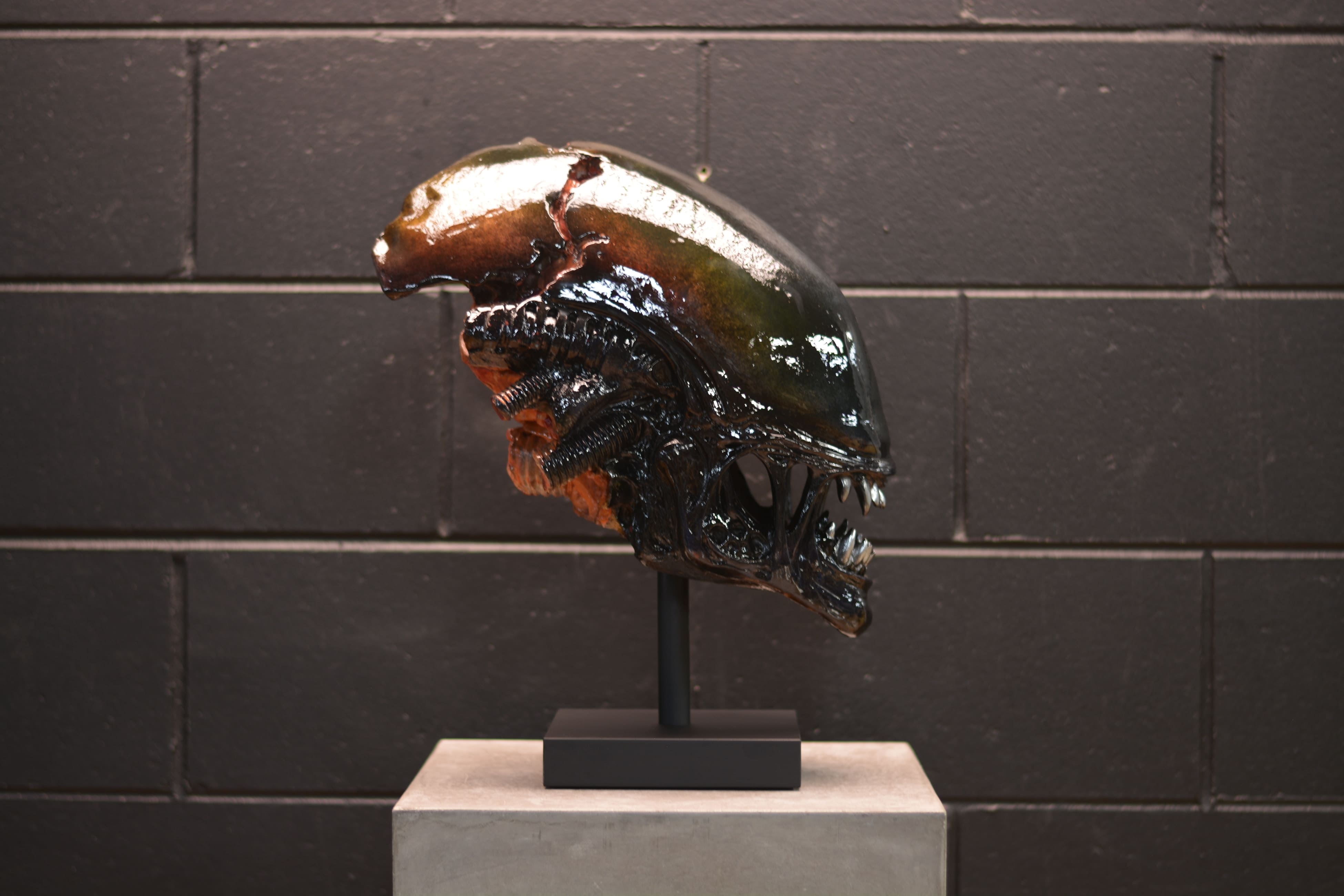 Xeno Trophy (SCRATCH & DENT) [3]