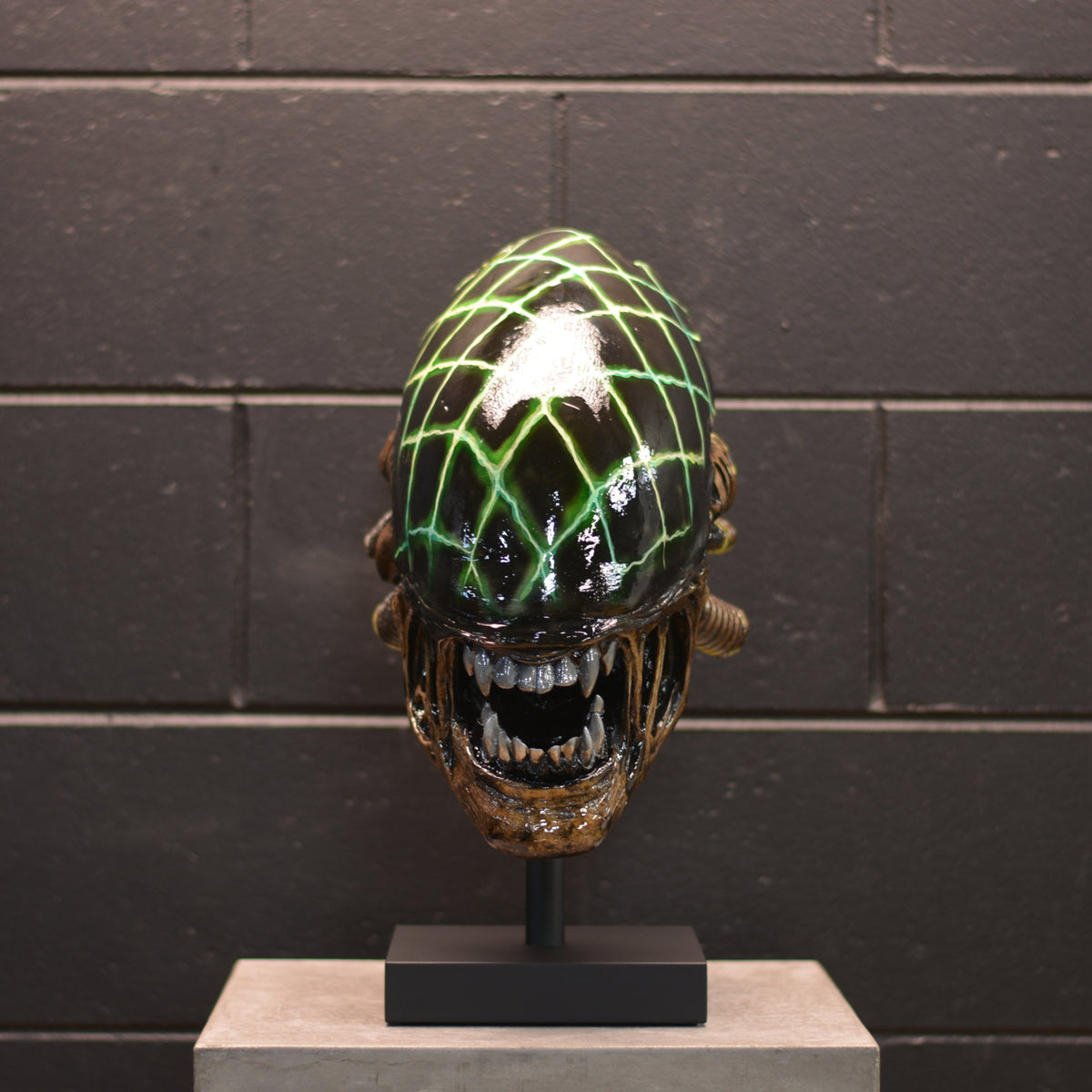Xeno Trophy - Grid