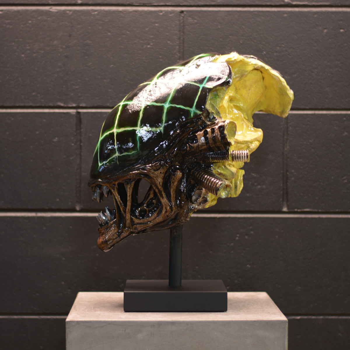 Xeno Trophy - Grid