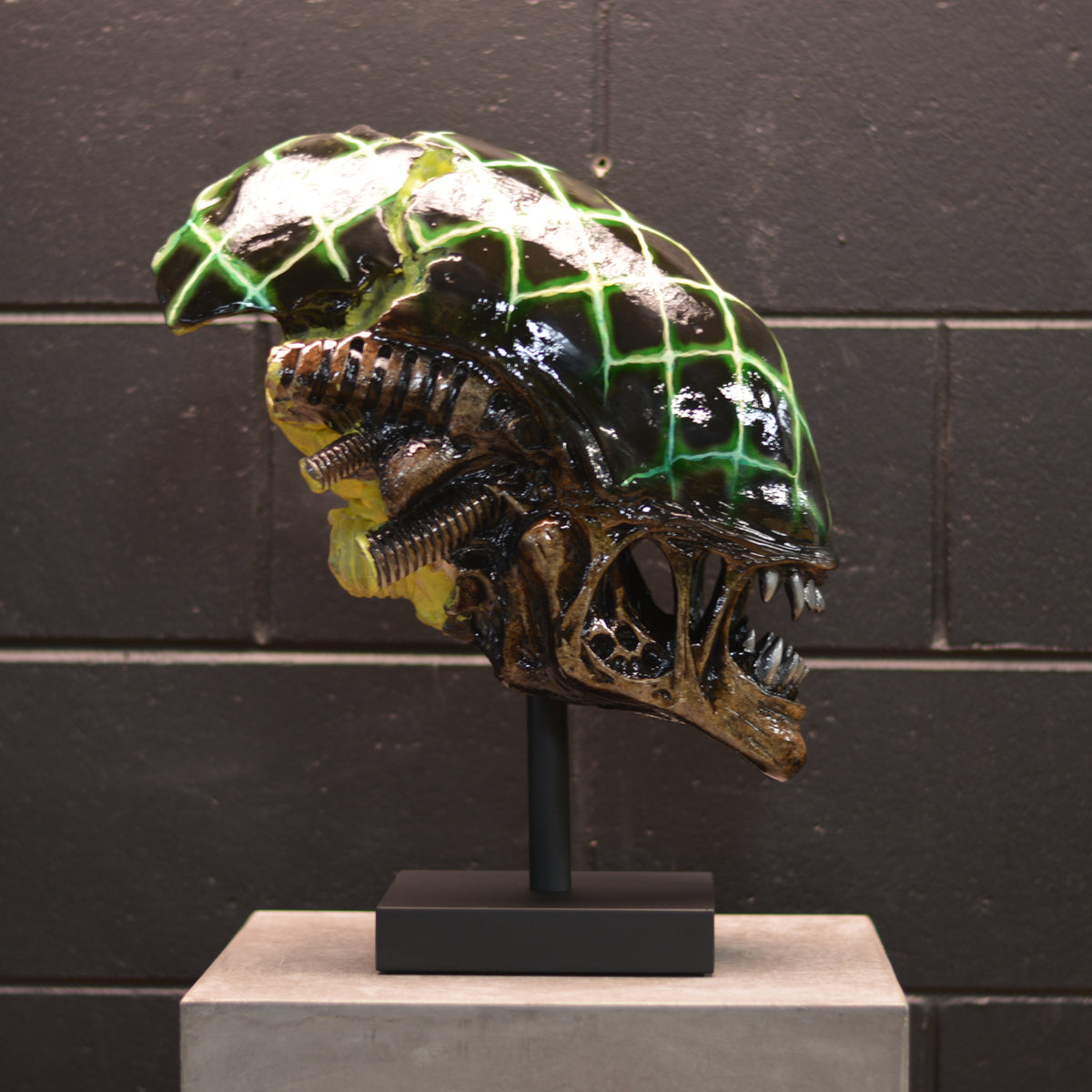 Xeno Trophy - Grid