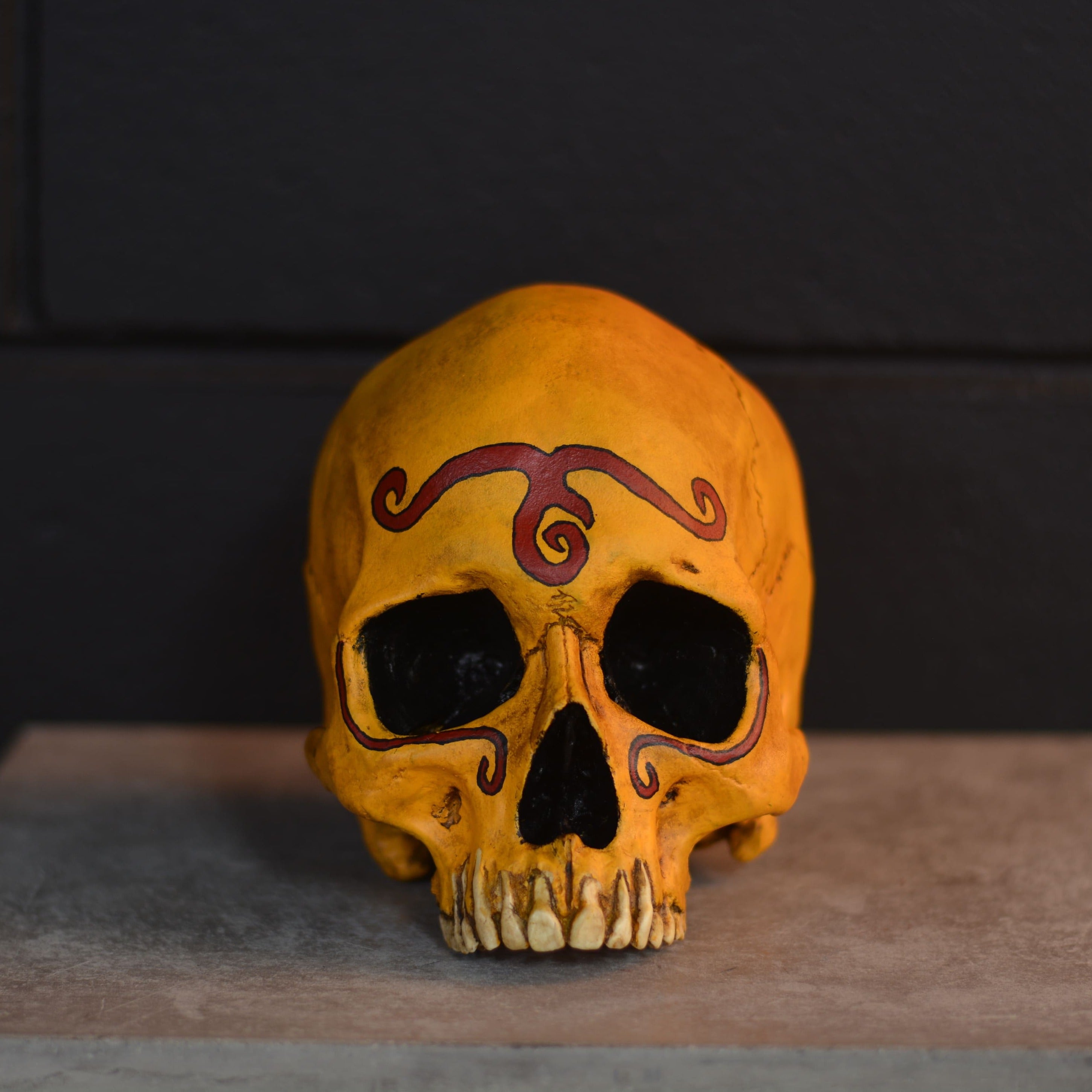 Human Skull - Throwback [EXPERIMENTAL PAINT]
