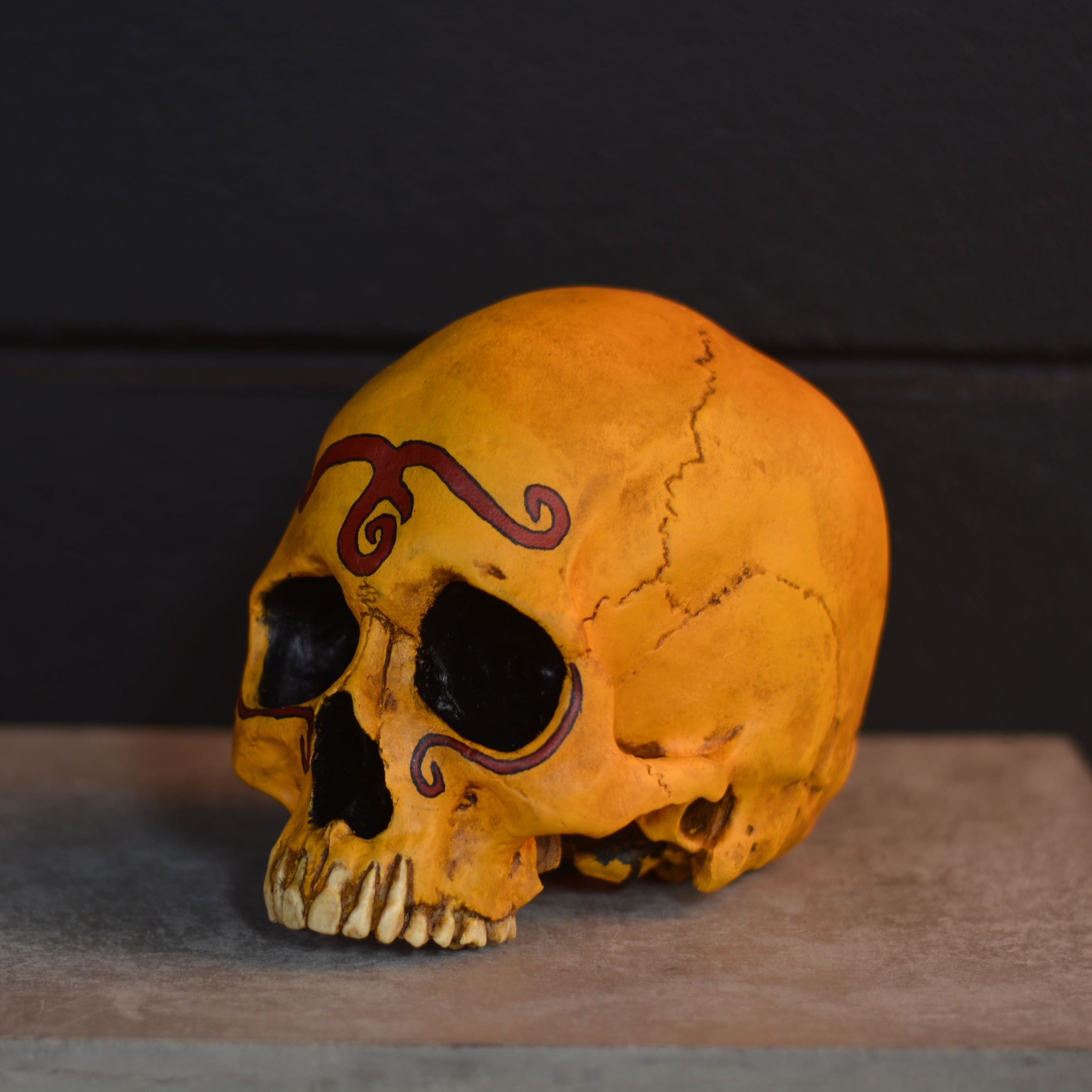 Human Skull - Throwback [EXPERIMENTAL PAINT]
