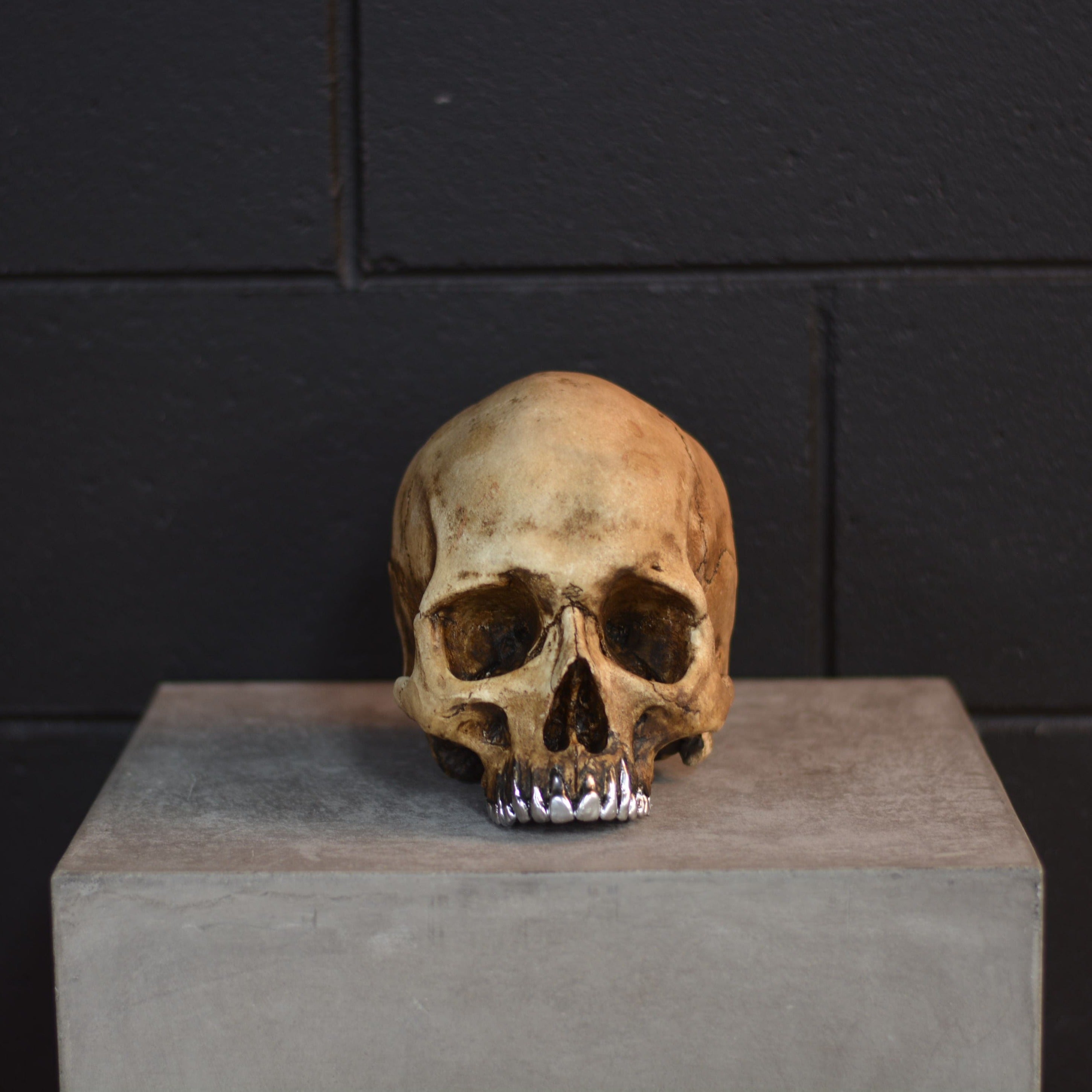 Human Skull - Grillz [DISCONTINUED]