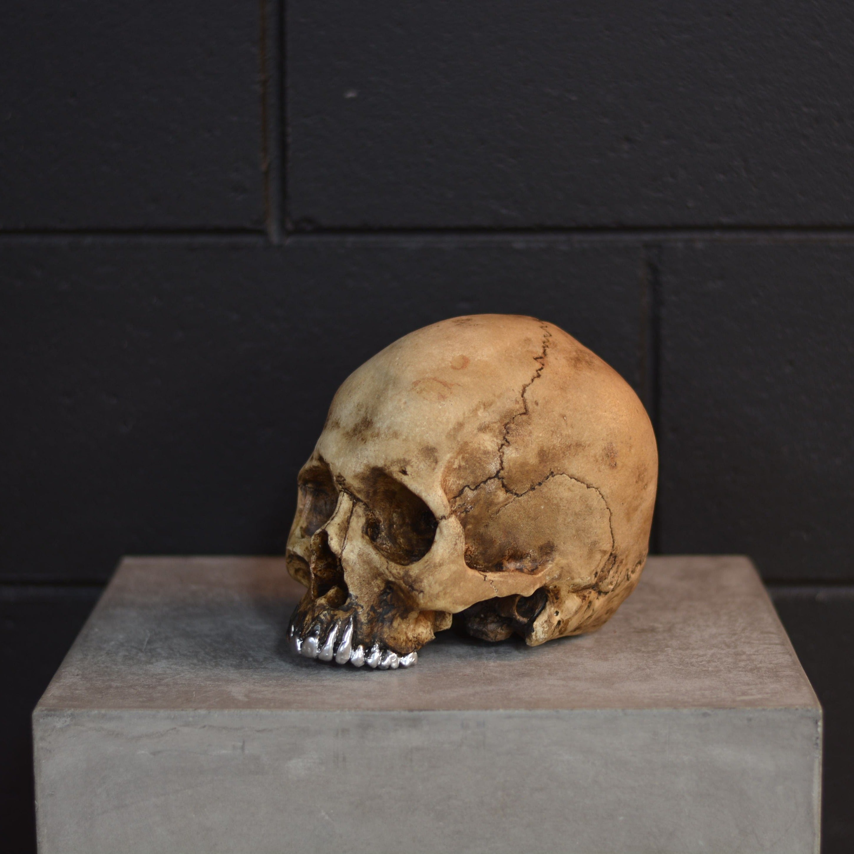Human Skull - Grillz [DISCONTINUED]