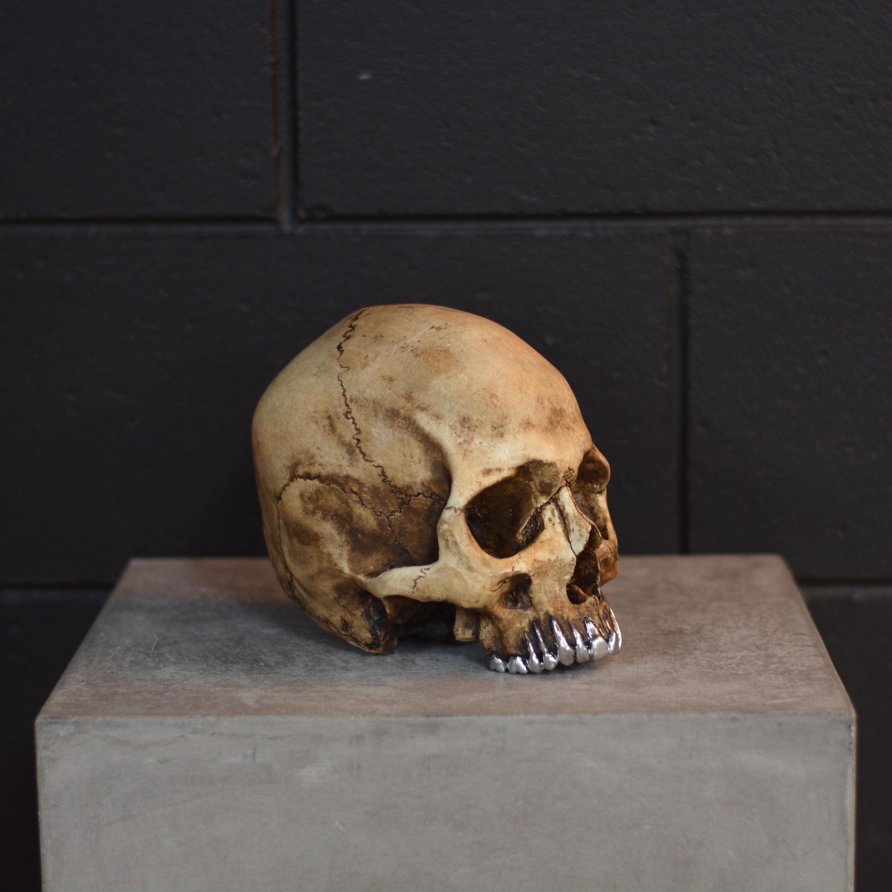 Human Skull - Grillz [DISCONTINUED]