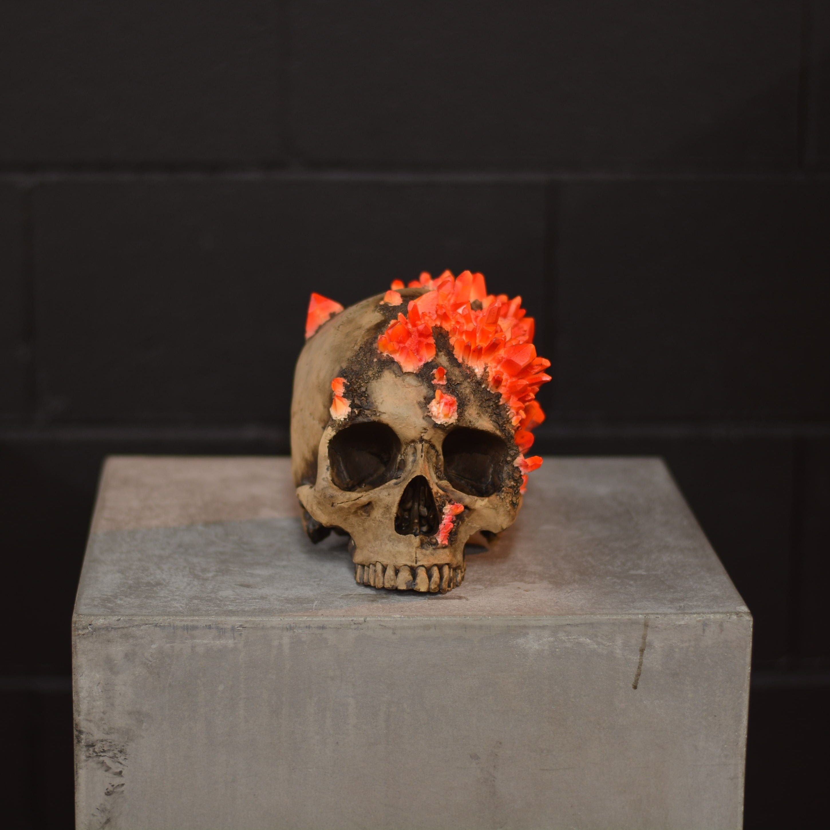Amethyst Skull - Carnelian [EXPERIMENTAL PAINT]