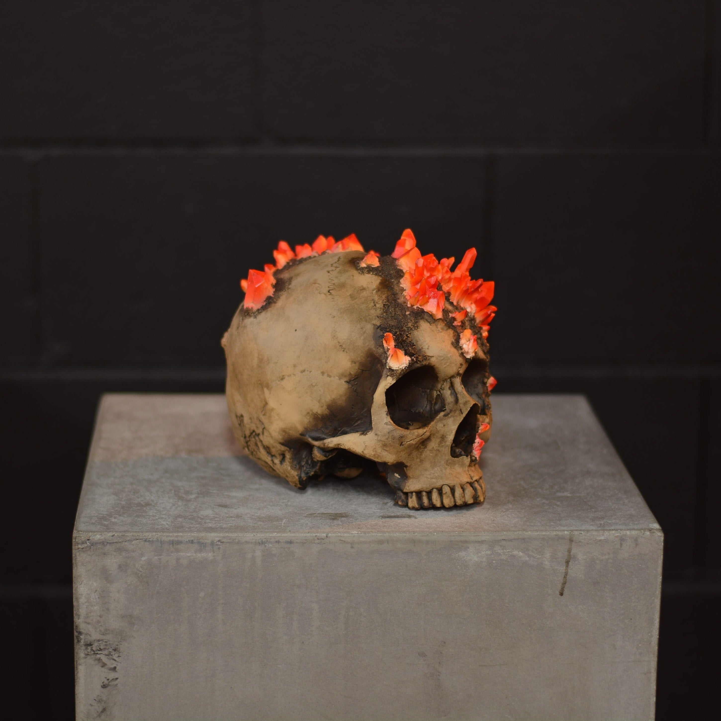 Amethyst Skull - Carnelian [EXPERIMENTAL PAINT]