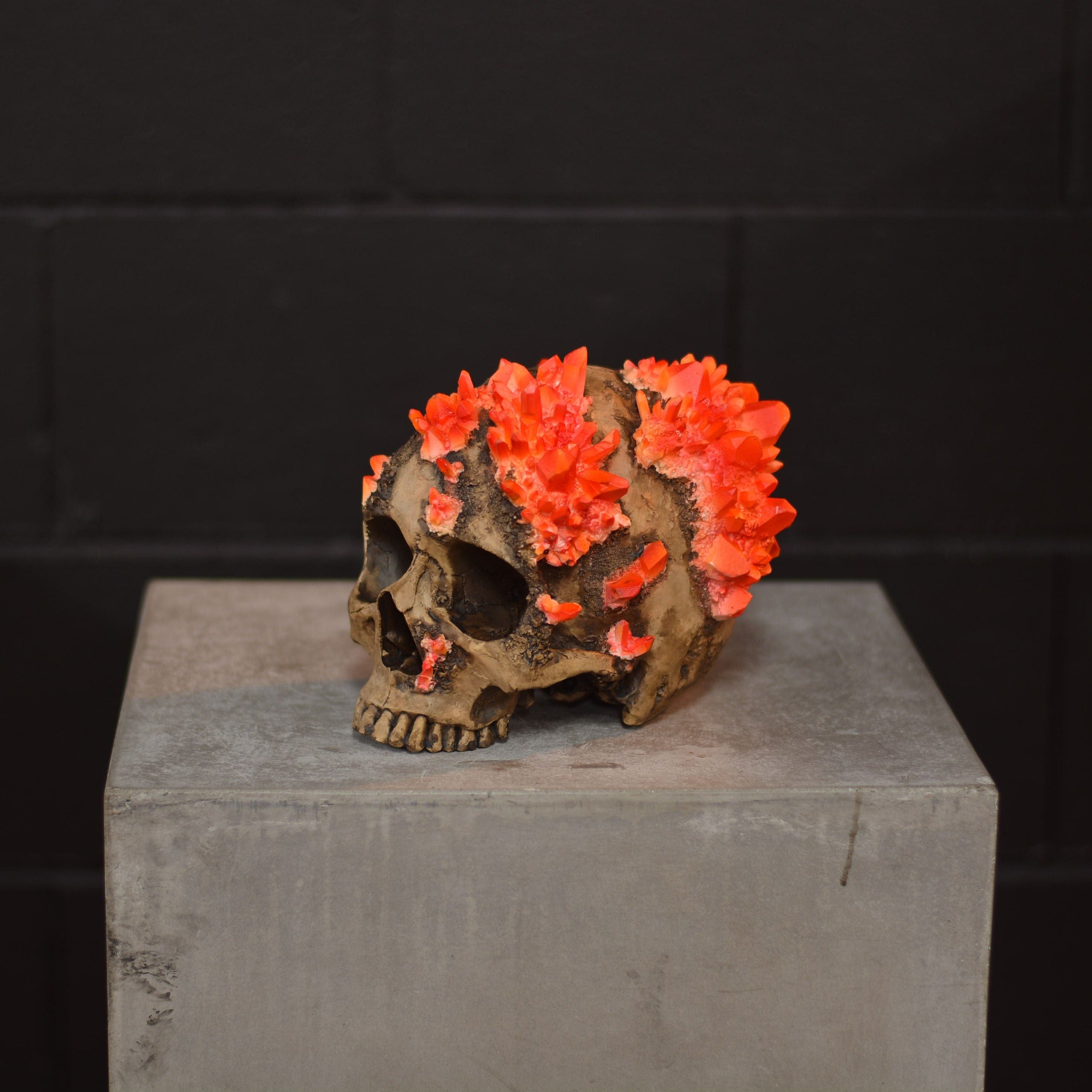 Amethyst Skull - Carnelian [EXPERIMENTAL PAINT]