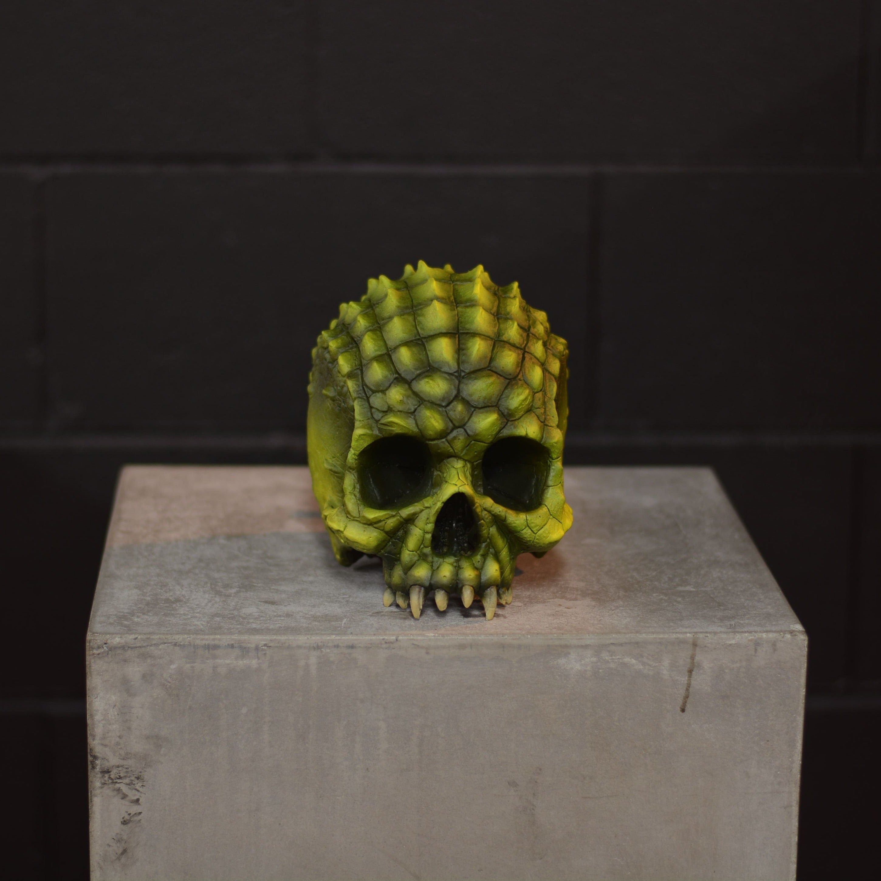 Croc Skull - Swamp Baby [EXPERIMENTAL PAINT]