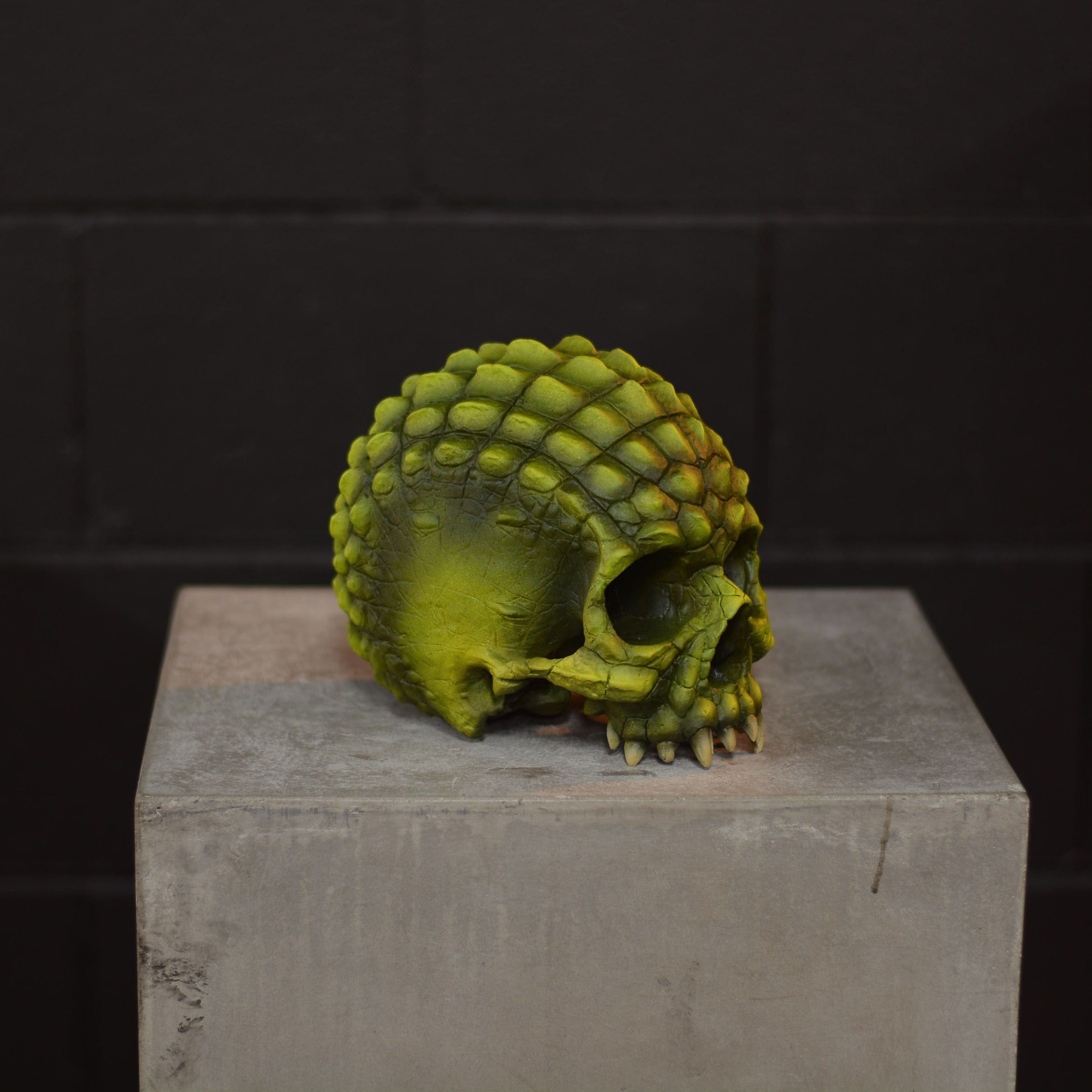 Croc Skull - Swamp Baby [EXPERIMENTAL PAINT]